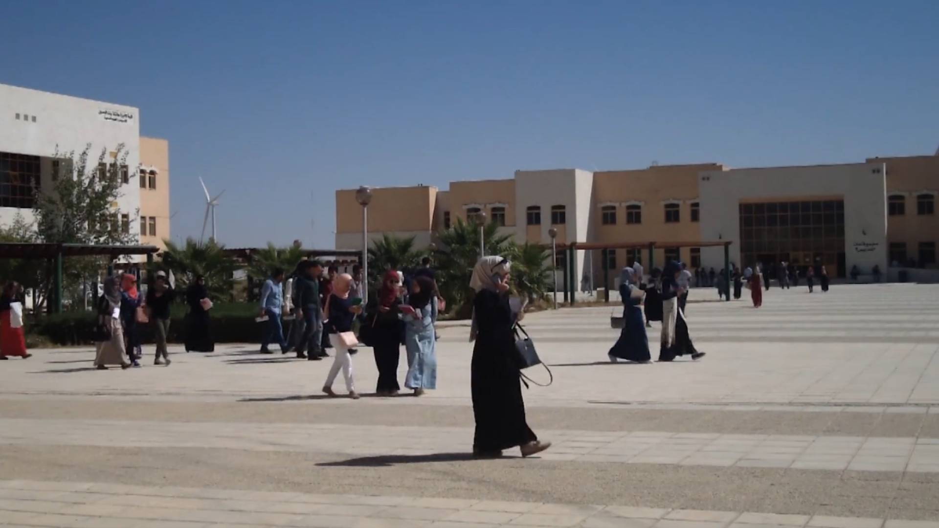 أكاديميون: سوق العمل مشبع وتخصصات راكدة... ومصير الأبحاث في أدراج الجامعات.. فيديو