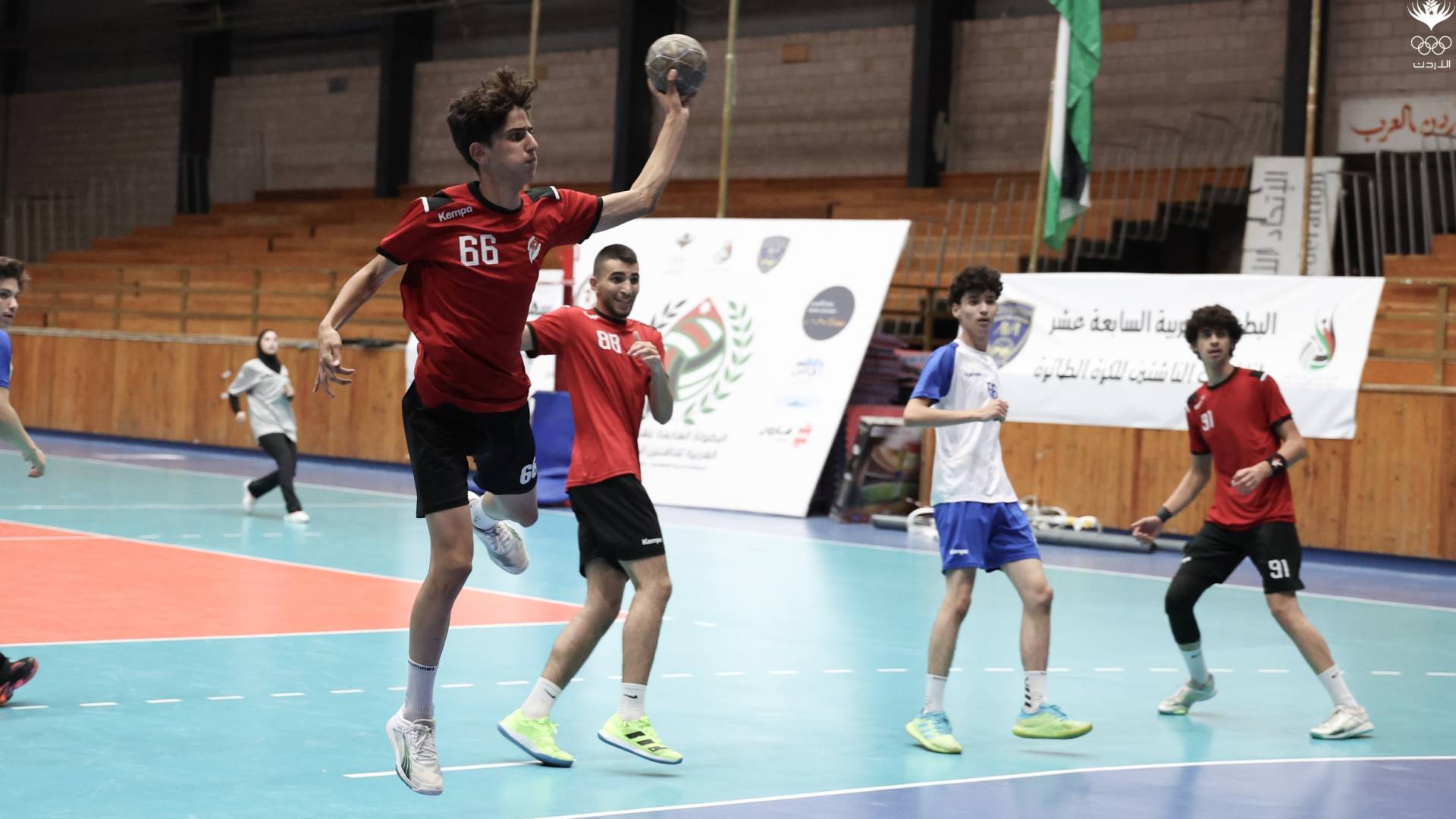المنتخب الوطني لكرة اليد