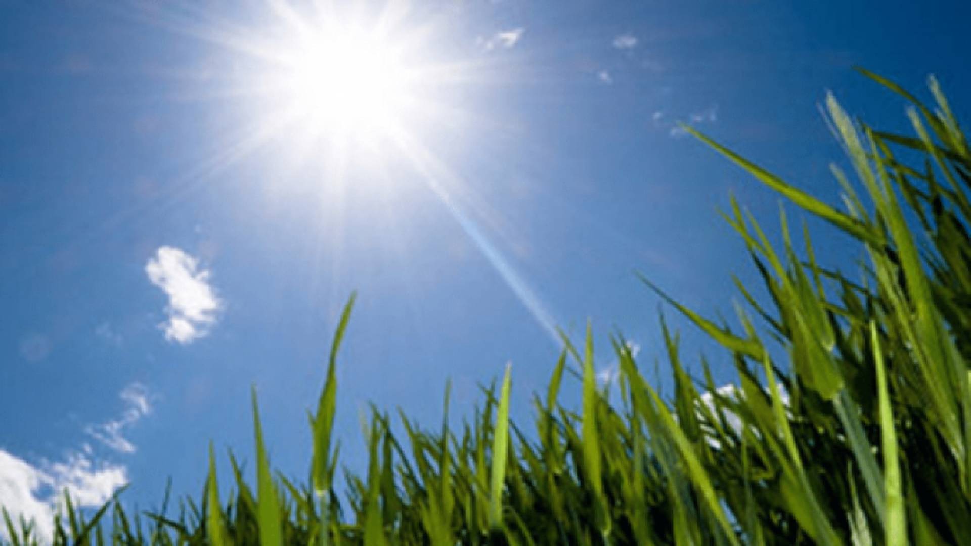 الطقس "تعبيرية"