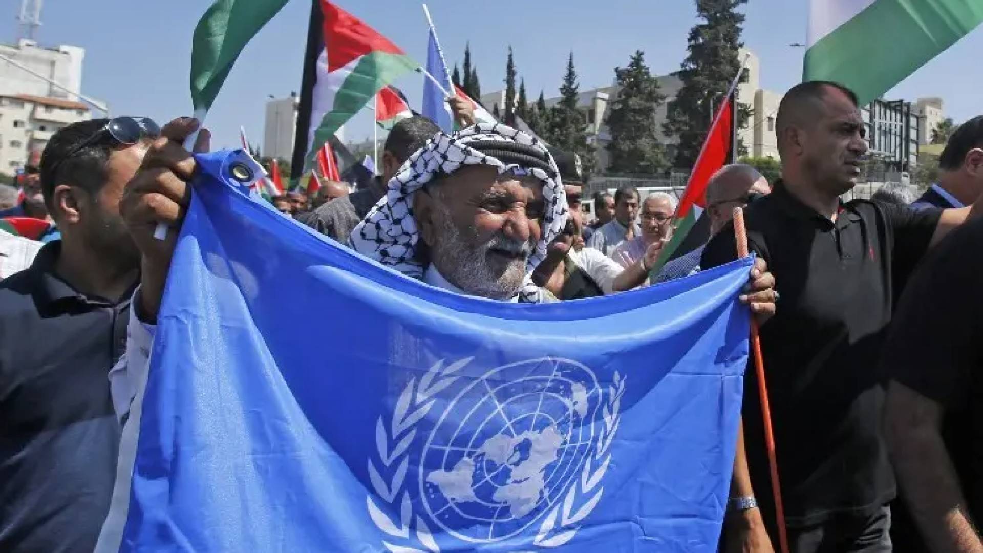 الجمعية العامة