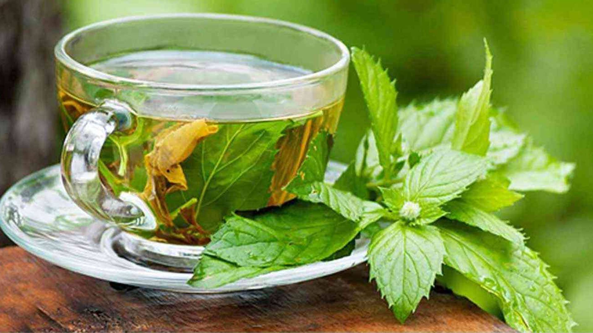 "أسرار خفية" في الشاي الأخضر..دراسة حديثة تكشف دوره في إنقاص الوزن وتحسين استقلاب الغلوكوز