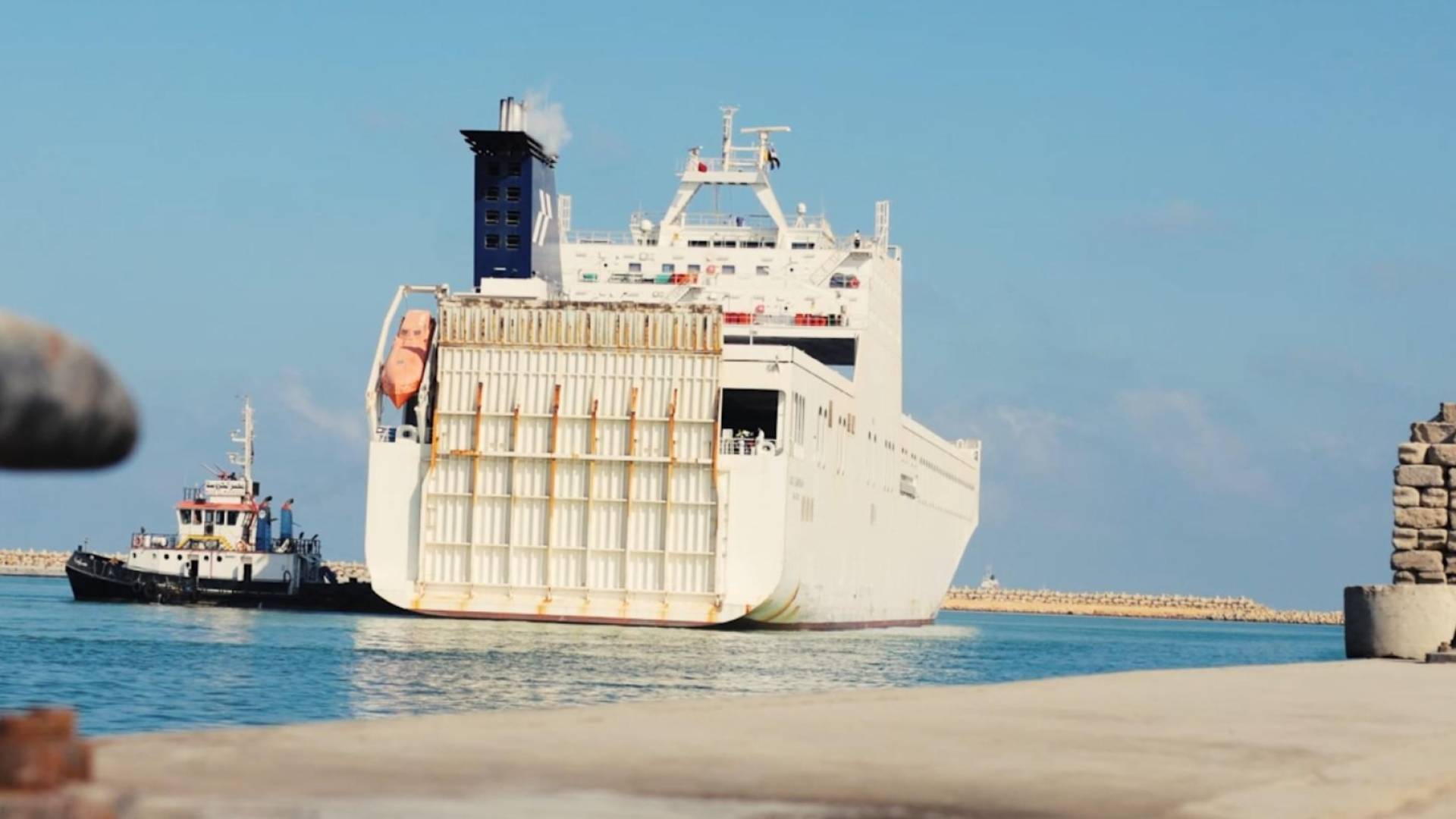 وكالة الإمارات للمساعدات الدولية تعلن ارتفاع عدد السفن الإماراتية إلى غزة إلى 20 سفينة منذ بدء عملية "الفارس الشهم 3"