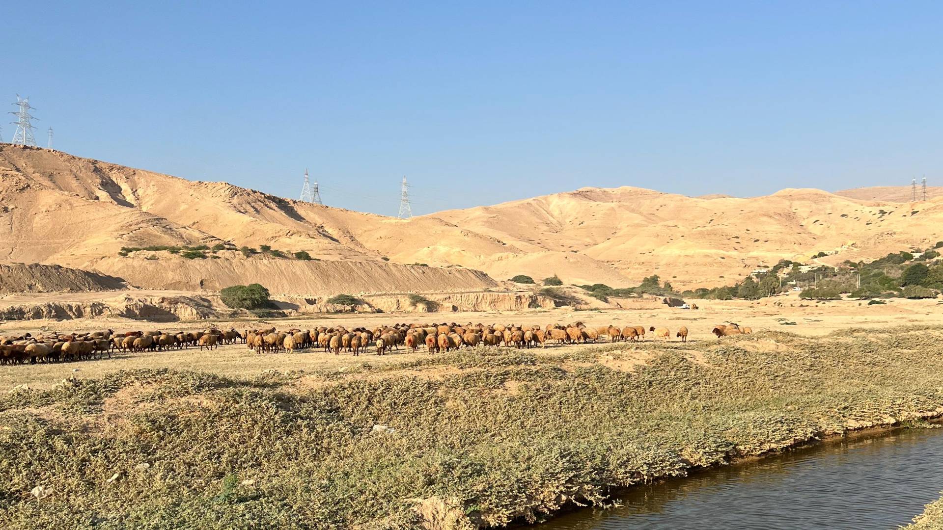 سد الكرامة بعد ان جف حوضه المائي وتحول الى أرض قاحلة