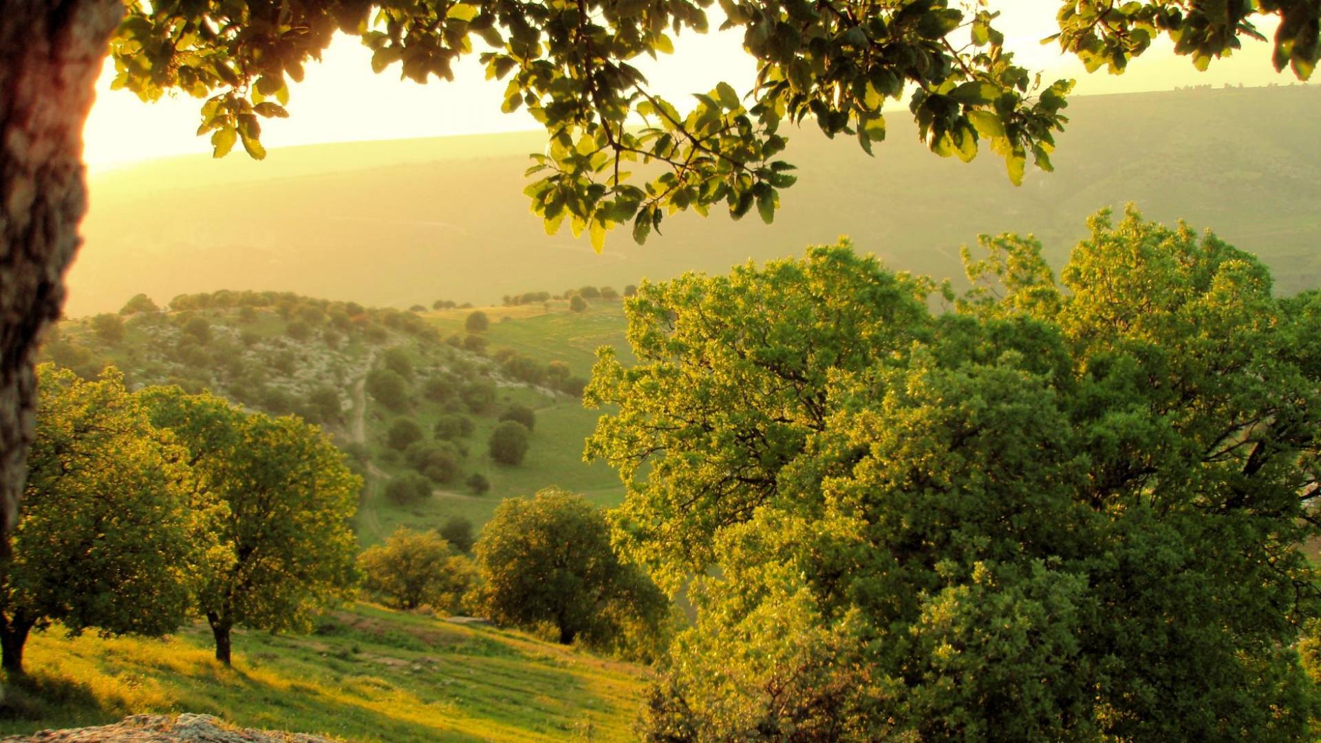 أجواء معتدلة