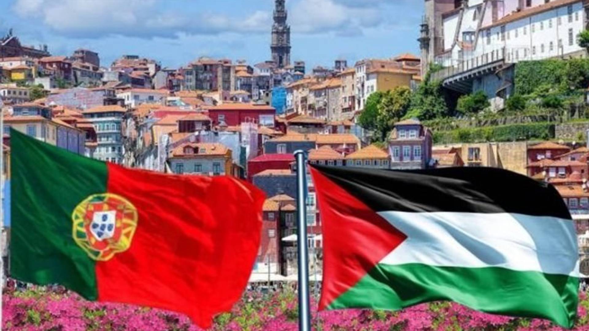 تعبيرية.. البرتغال وفلسطين
