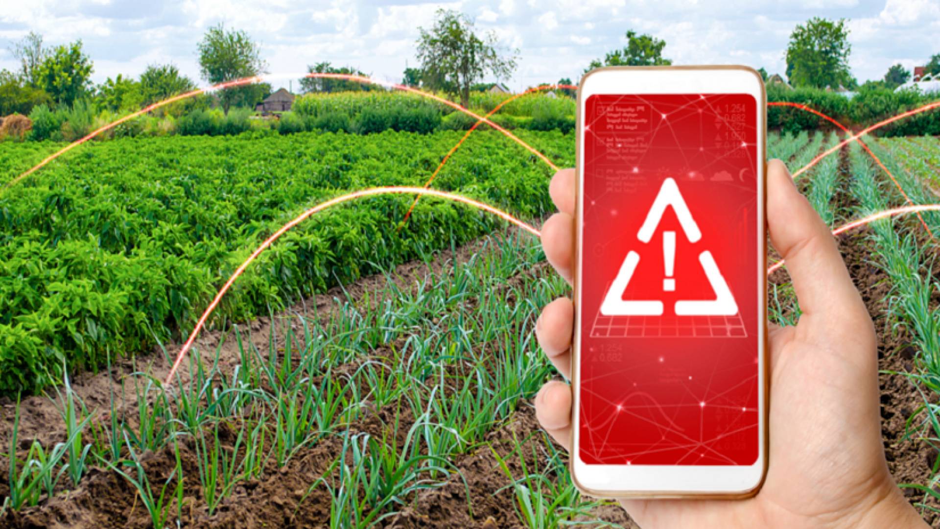 خطر جديد يهدد صحة الإنسان في خضرواته اليومية.. ما هو؟