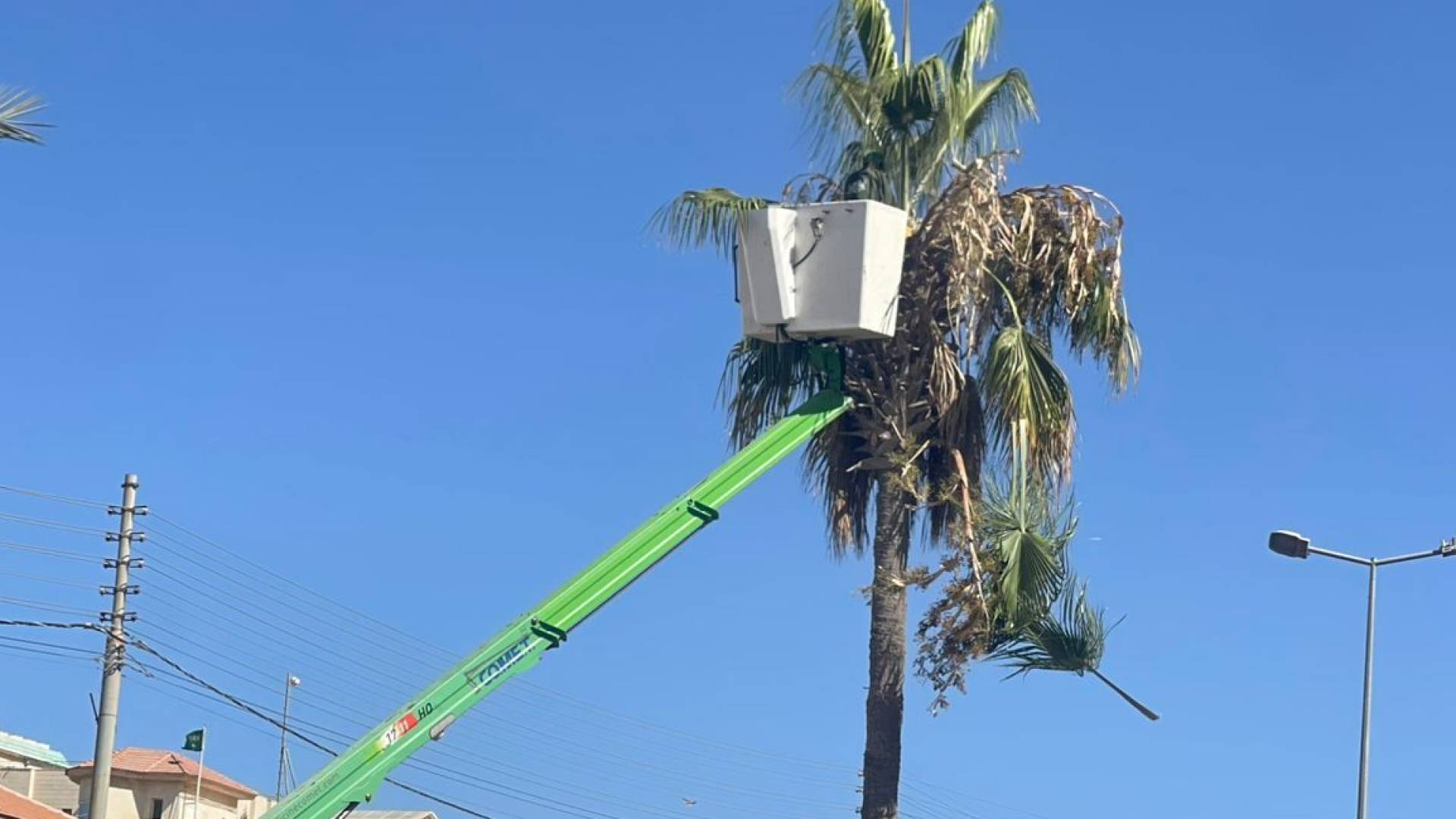 استعدادا للشتاء.. "أمانة عمان" تواصل حملات تقليم الأشجار وإزالة الأغصان التي تحجب الشواخص المرورية.. فيديو