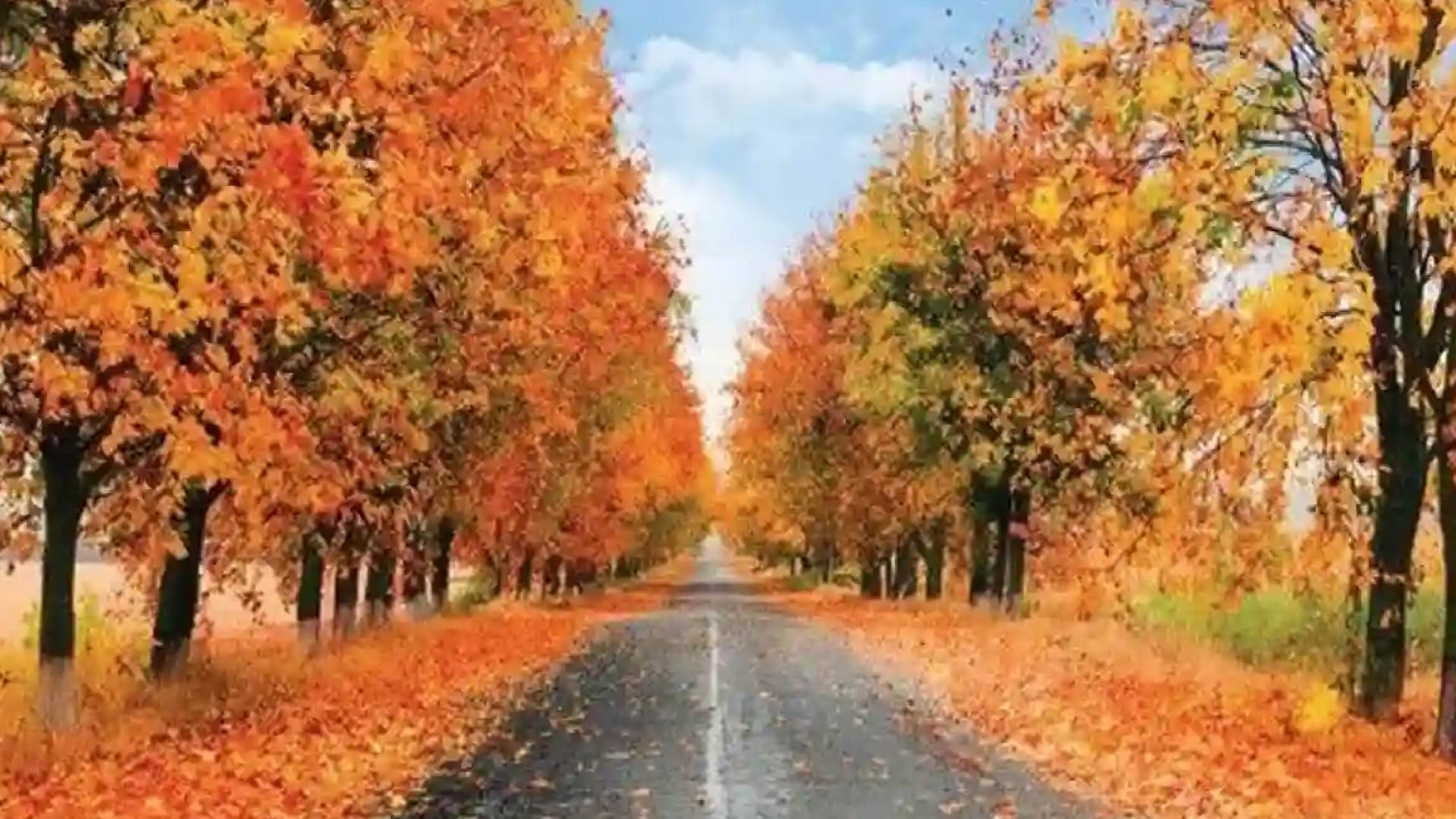 اجواء خريفية "تعبيرية"