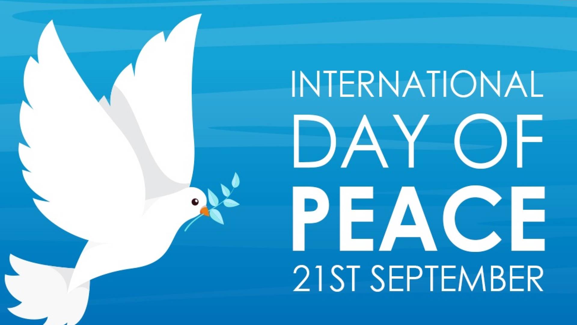 هبه حدادين في اليوم العالمي للسلام: لا معنى للاحتفال والعالم يشتعل بالحروب