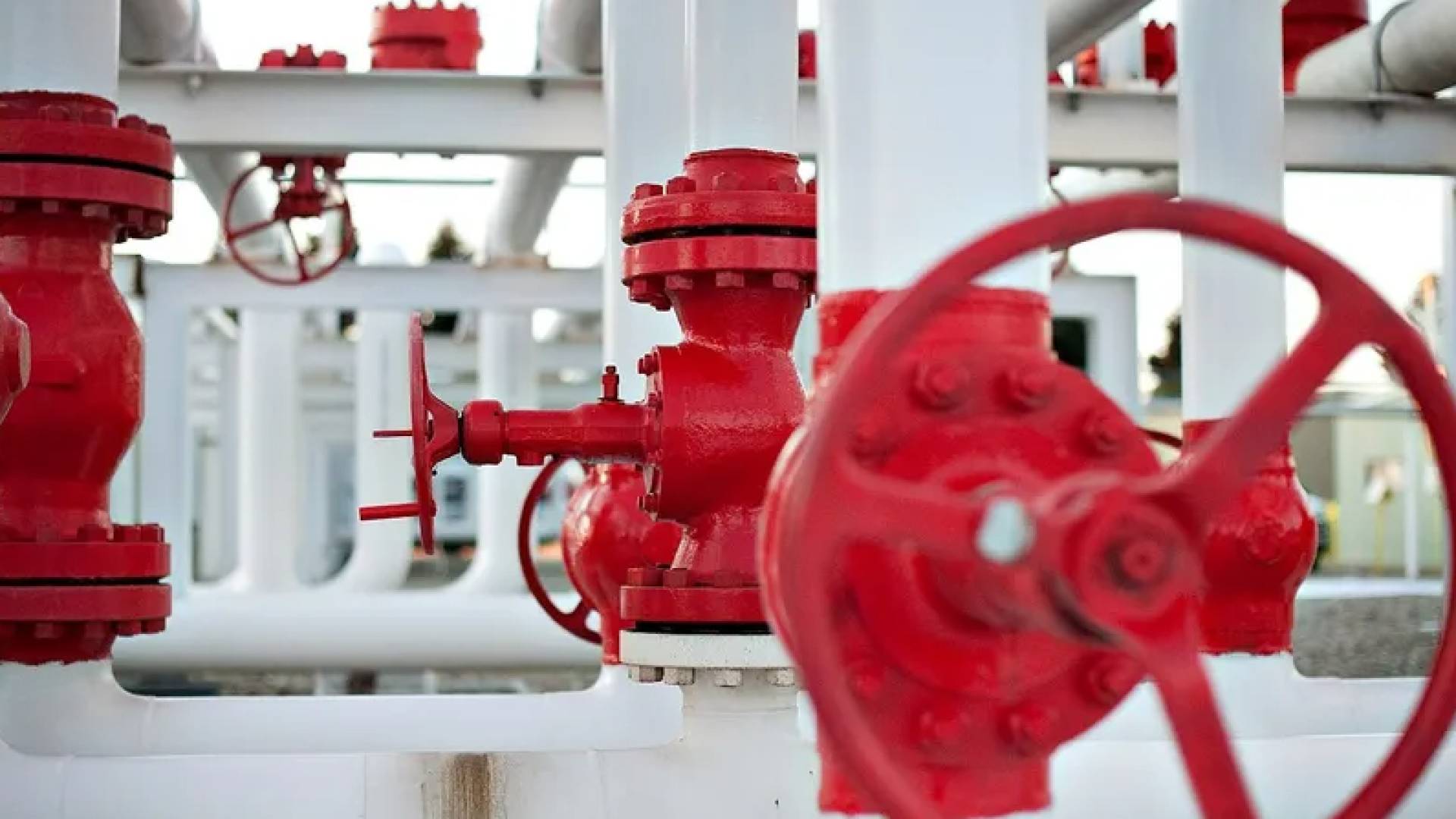 مصر تسدد نصف مليار دولار لشركات النفط الأجنبية وتضع جدولا زمنيا لإنهاء كامل المتأخرات