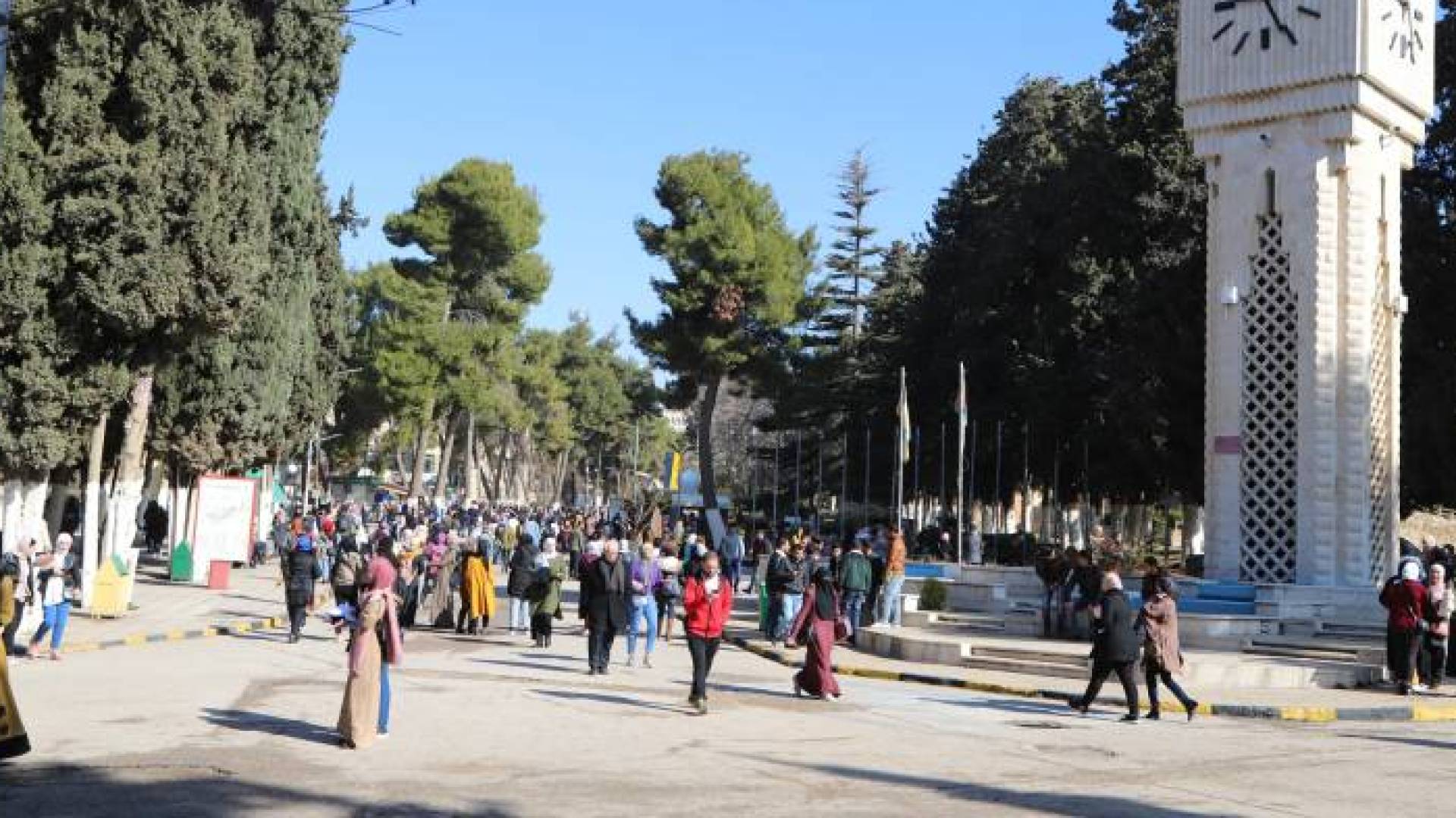 جامعة "أرشيفية"