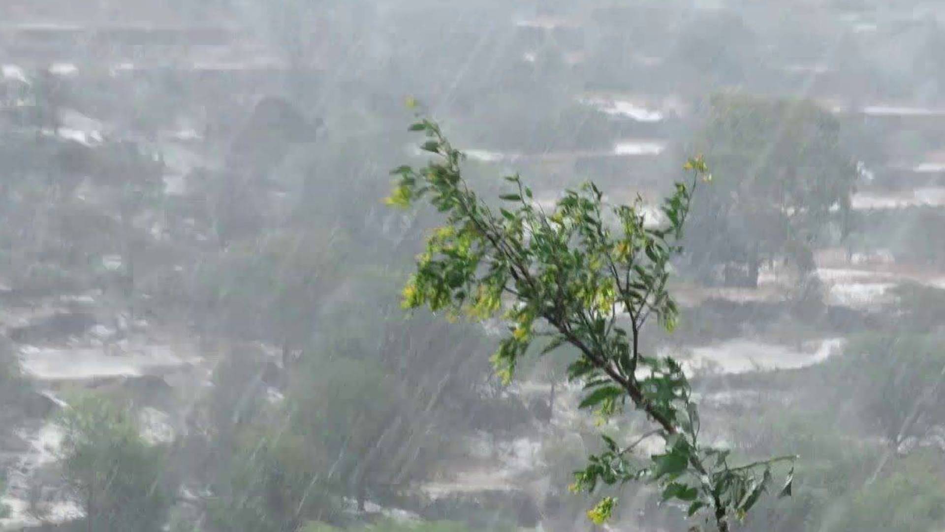 أمطار - تعبيرية