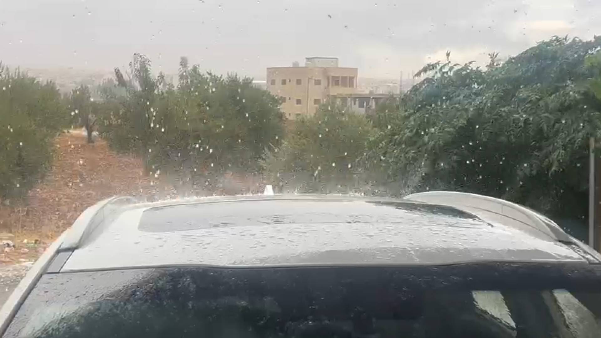 أمطار في إربد