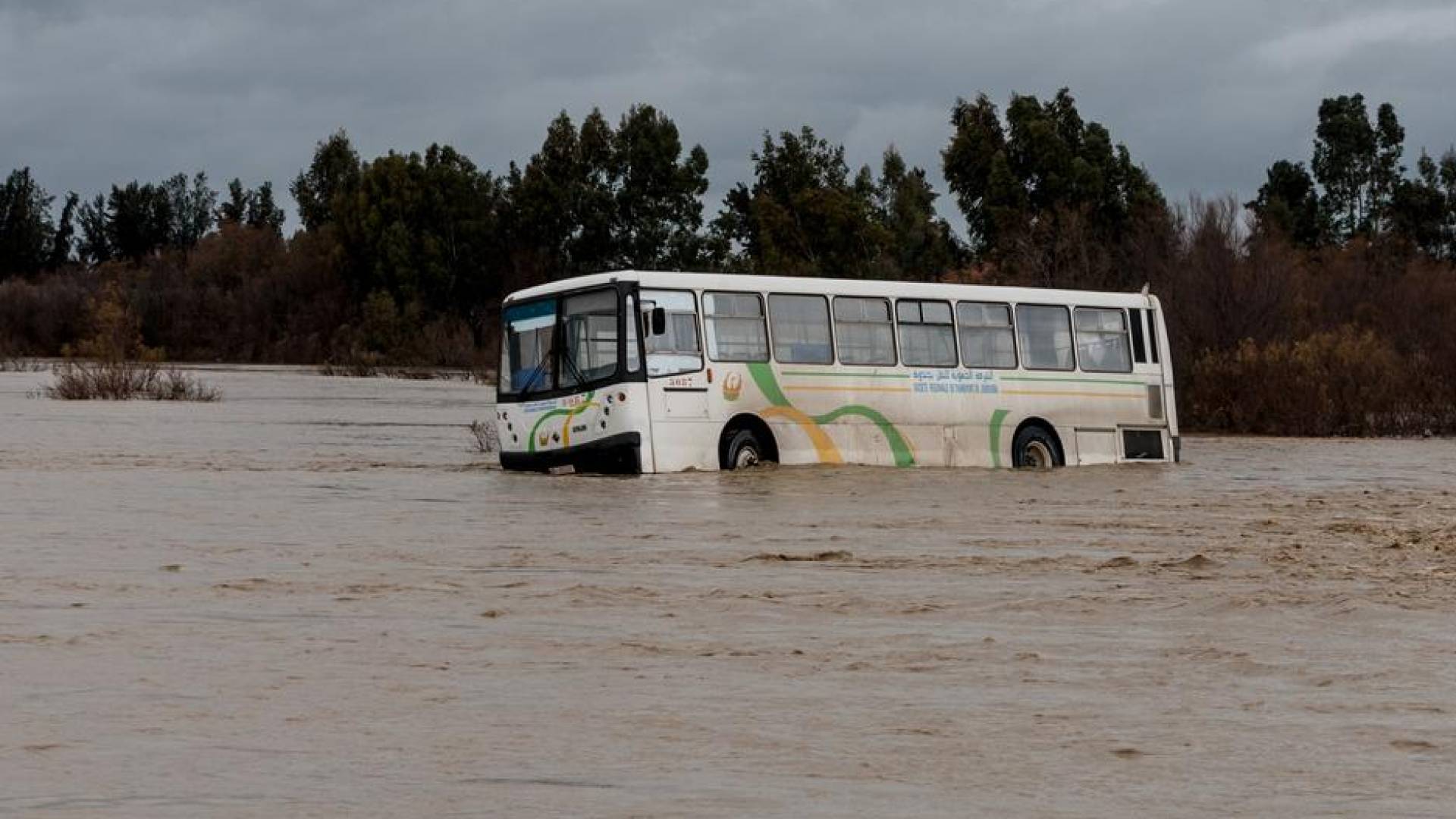 فاجعة في الجزائر.. وفاة 3 أشخاص بينهم رضيع في فيضانات عنيفة ضربت ولاية الجلفة