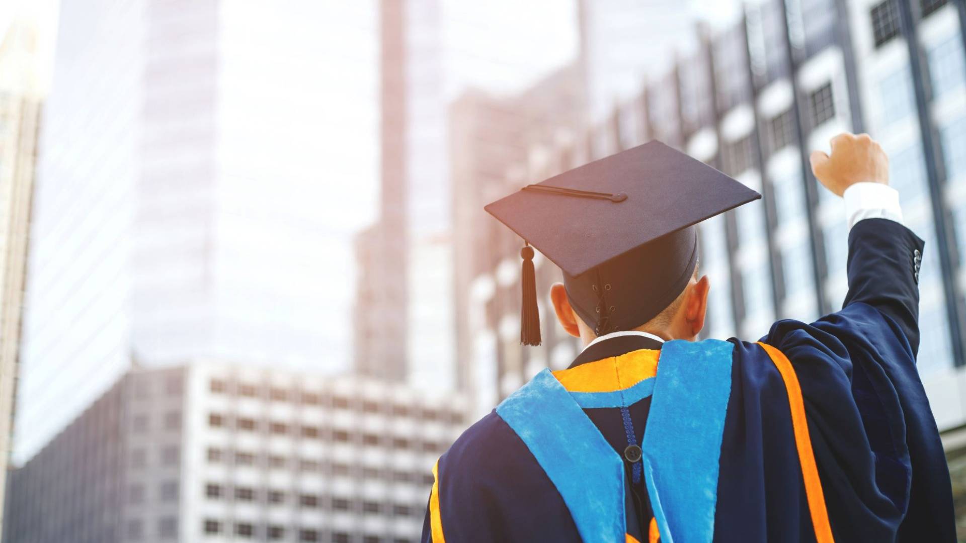 التعليم العالي