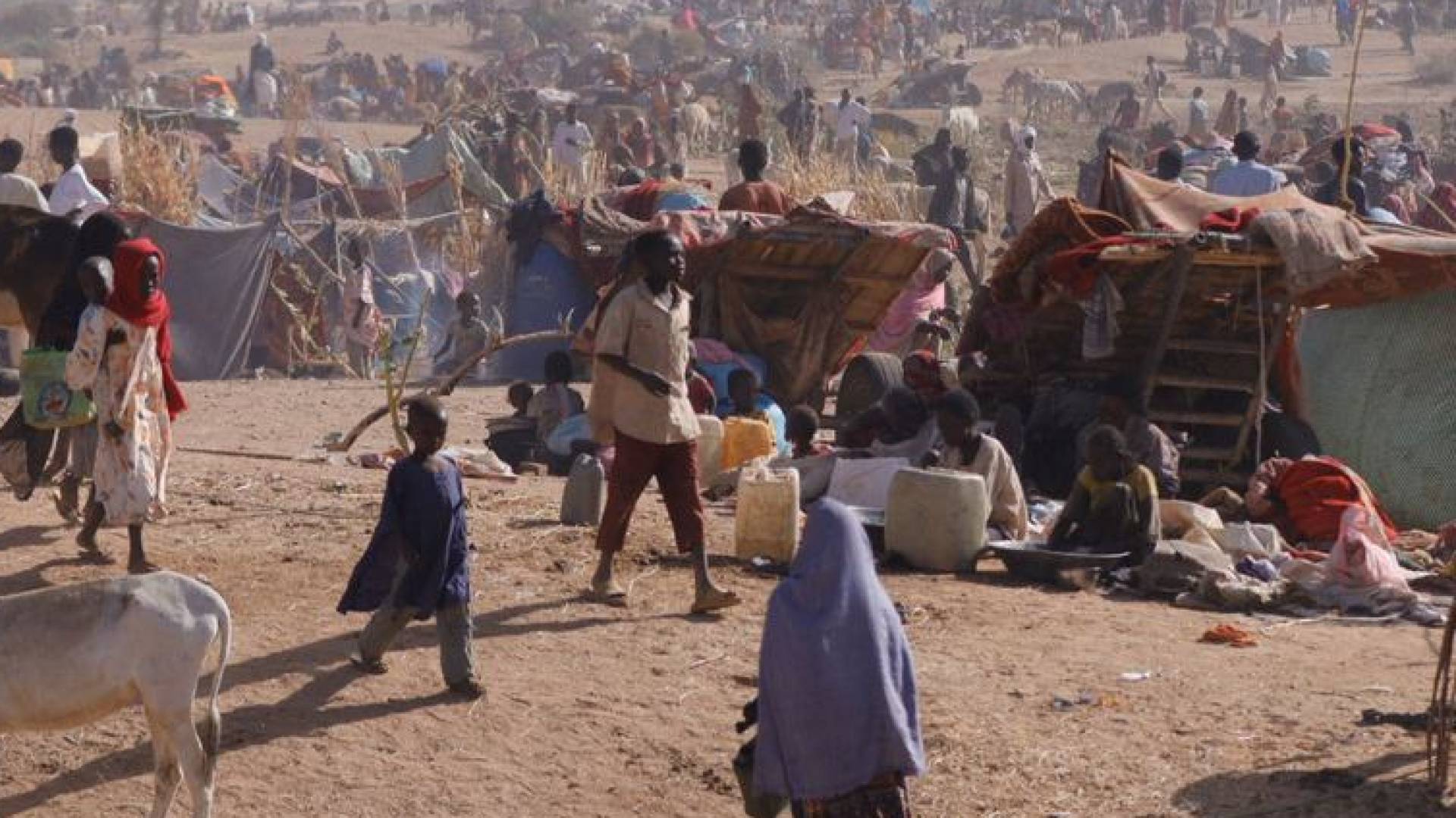 معاناة سكان مدينة الفاشر في السودان