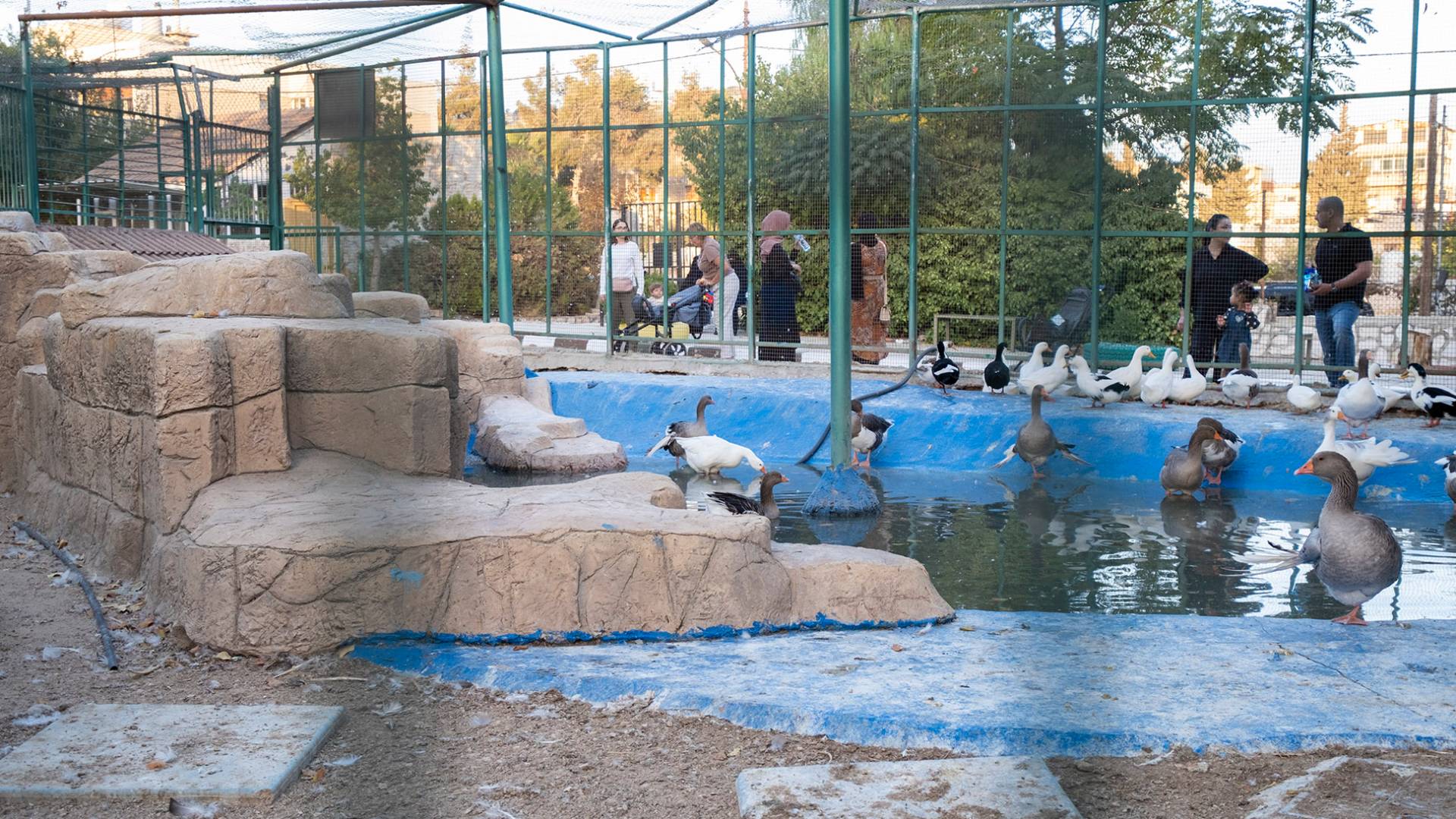 أمانة عمان تصدر تعليمات جديدة لضبط المخالفات والاعتداءات على الحدائق العامة والمتنزهات