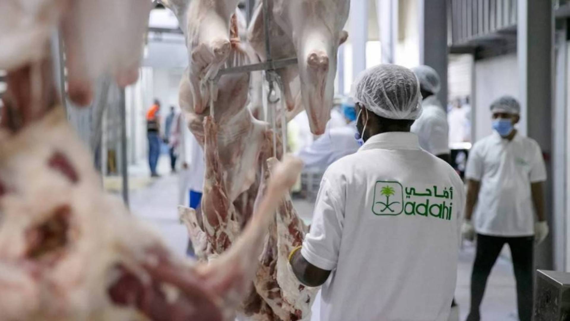 مشروع "للإفادة من الهدي والأضاحي" السعودية  توزع 20 ألف أضحية إلى الأردن