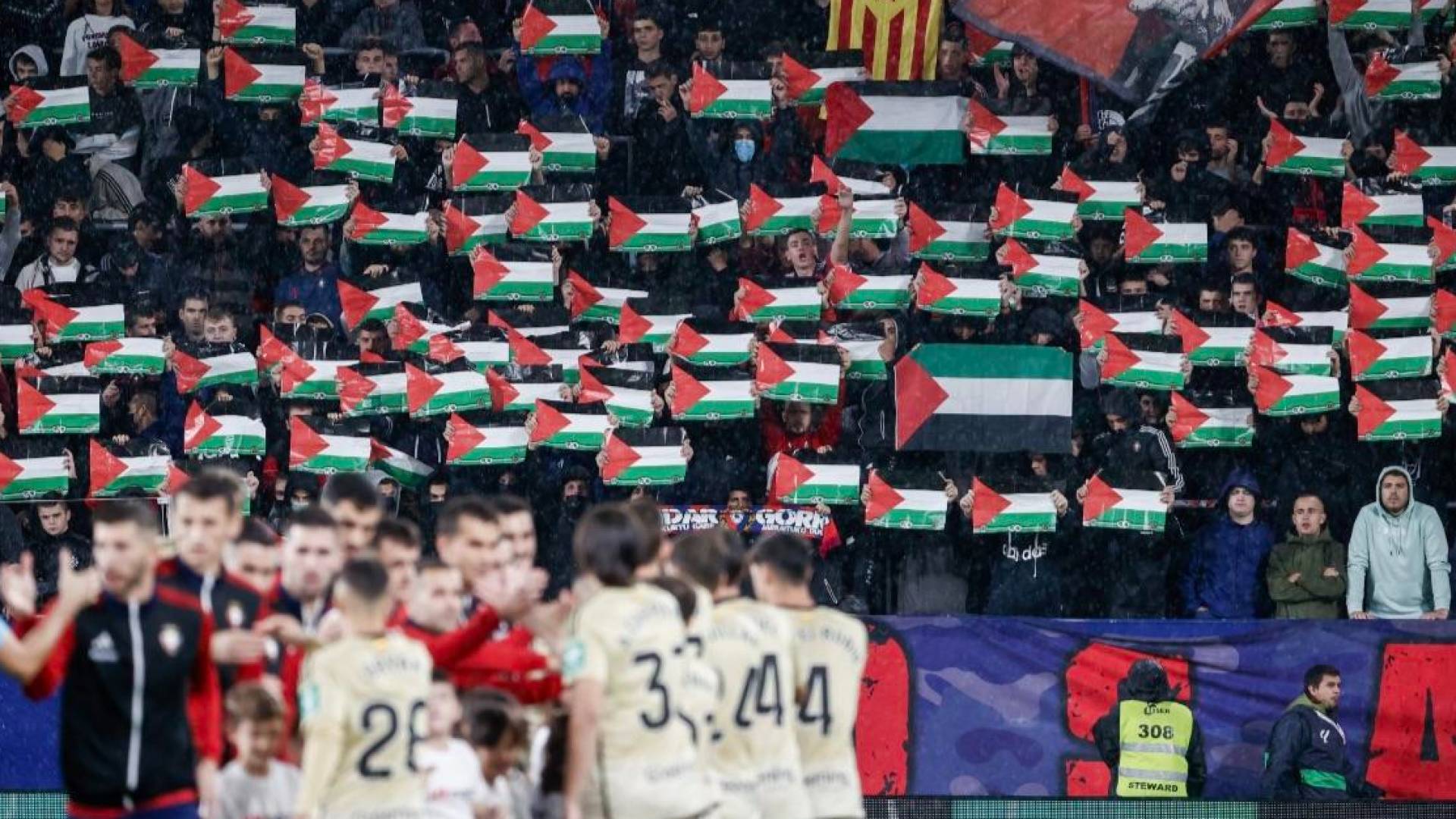 مشجعون يرفعون أعلام فلسطين