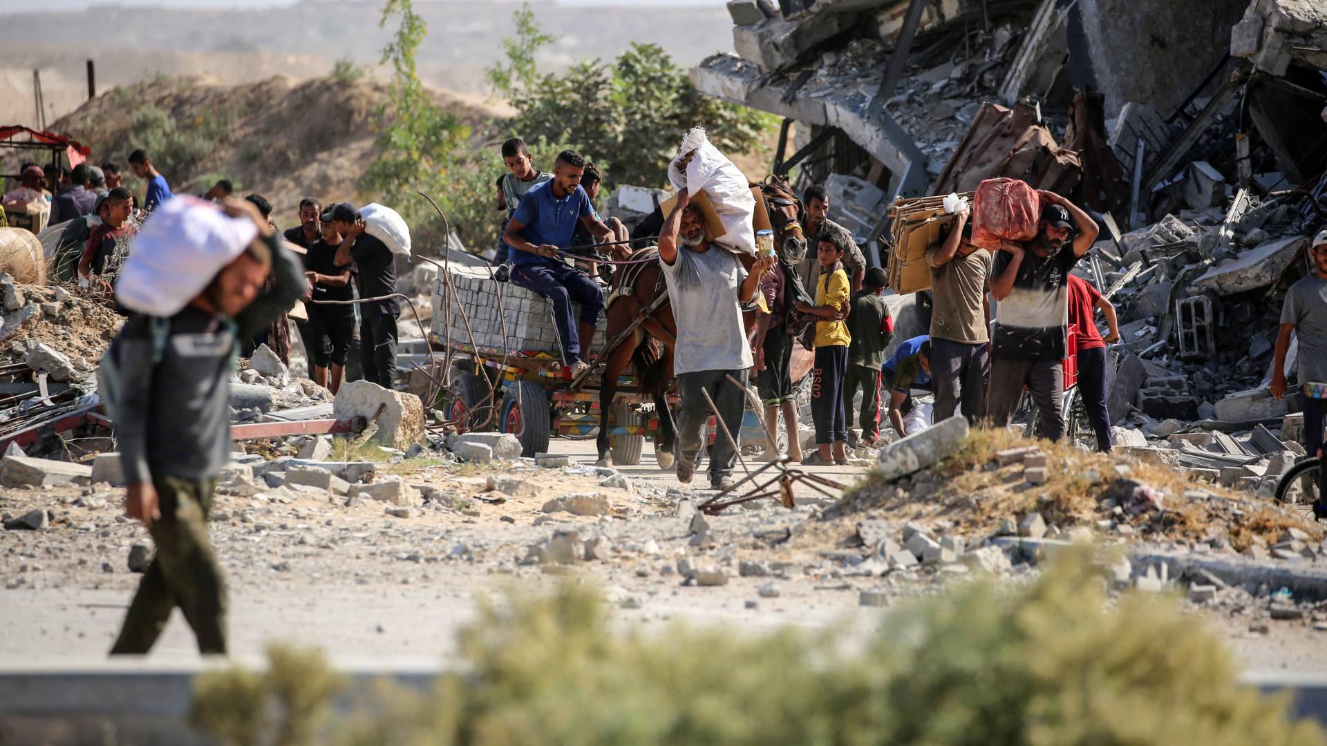 قطاع غزة المدمر