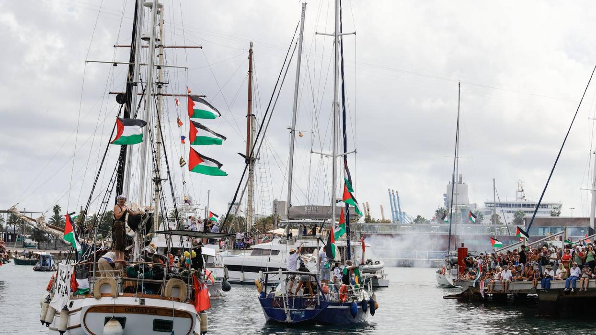 أسطول الصمود