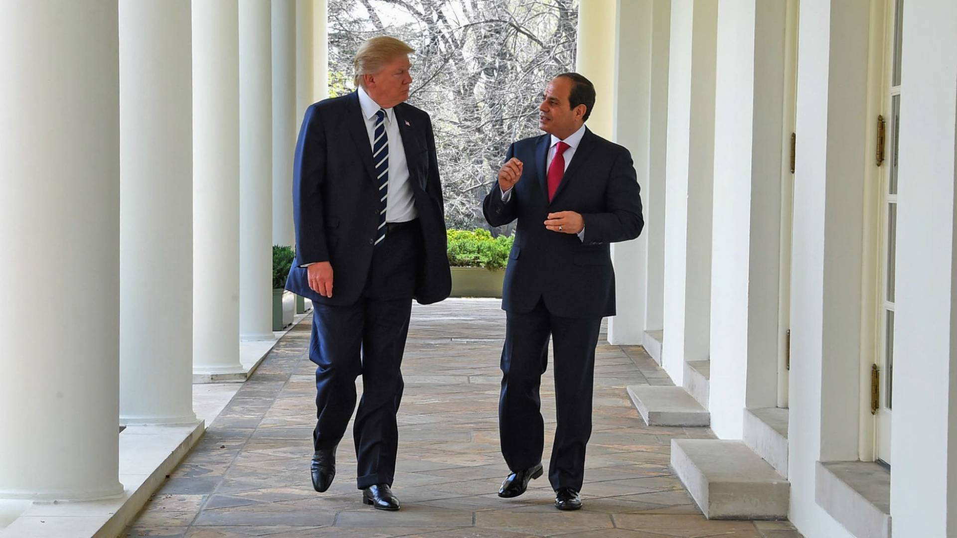 السيسي وترمب