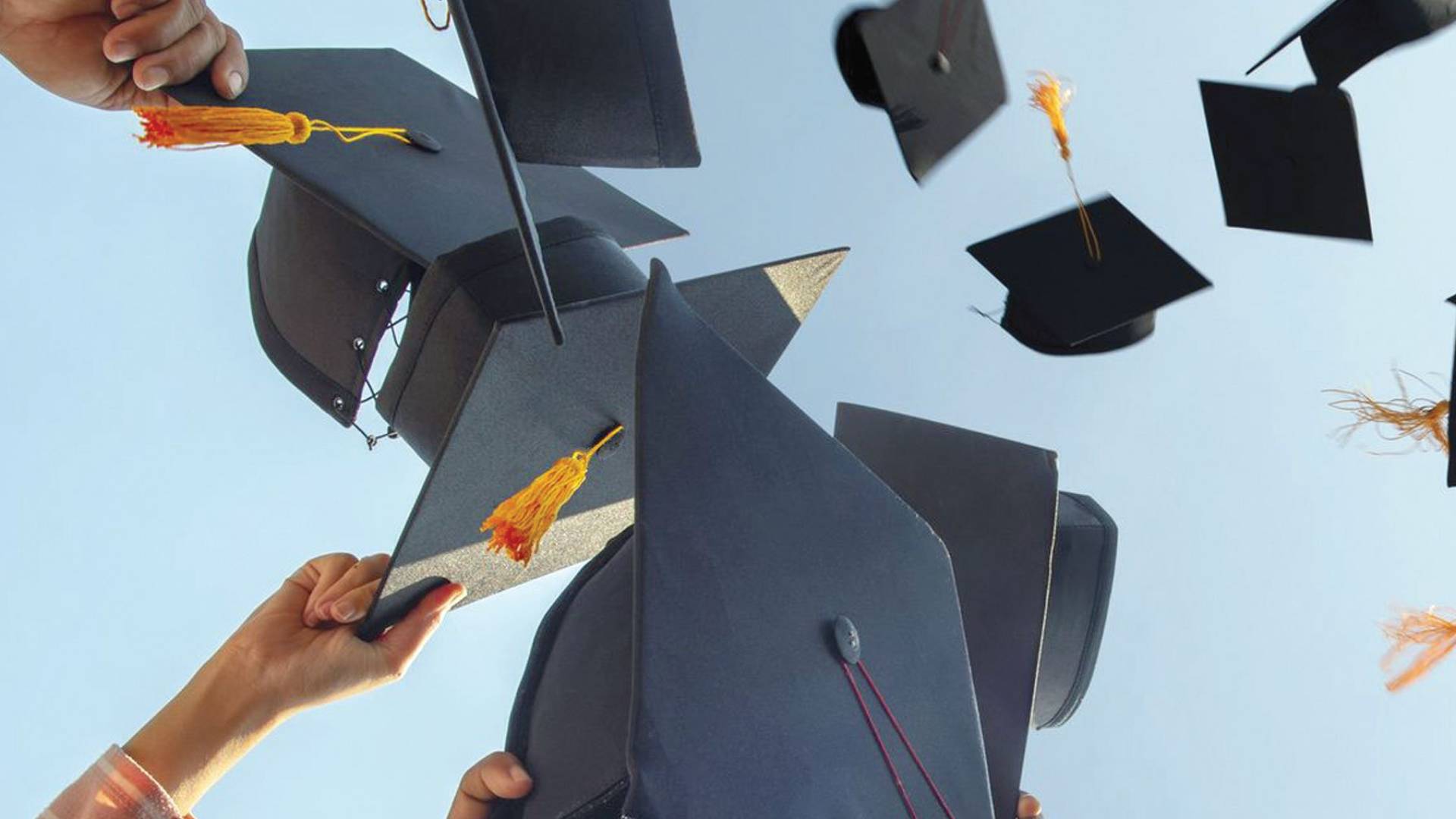 "القبول الموحد" تعلن نتائج التجسير للعام الجامعي 2025-2026.. رابط