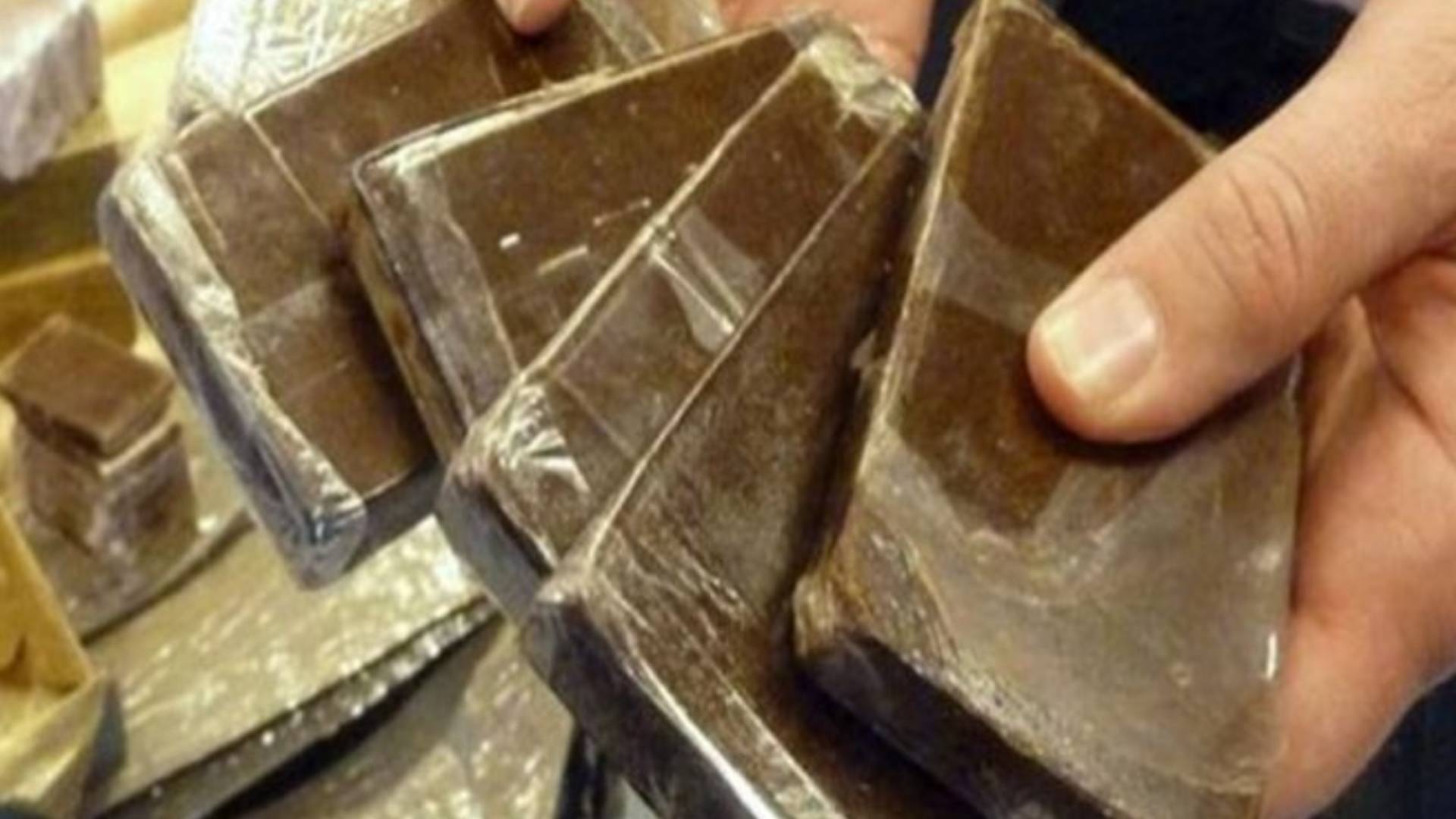 مادة الحشيش