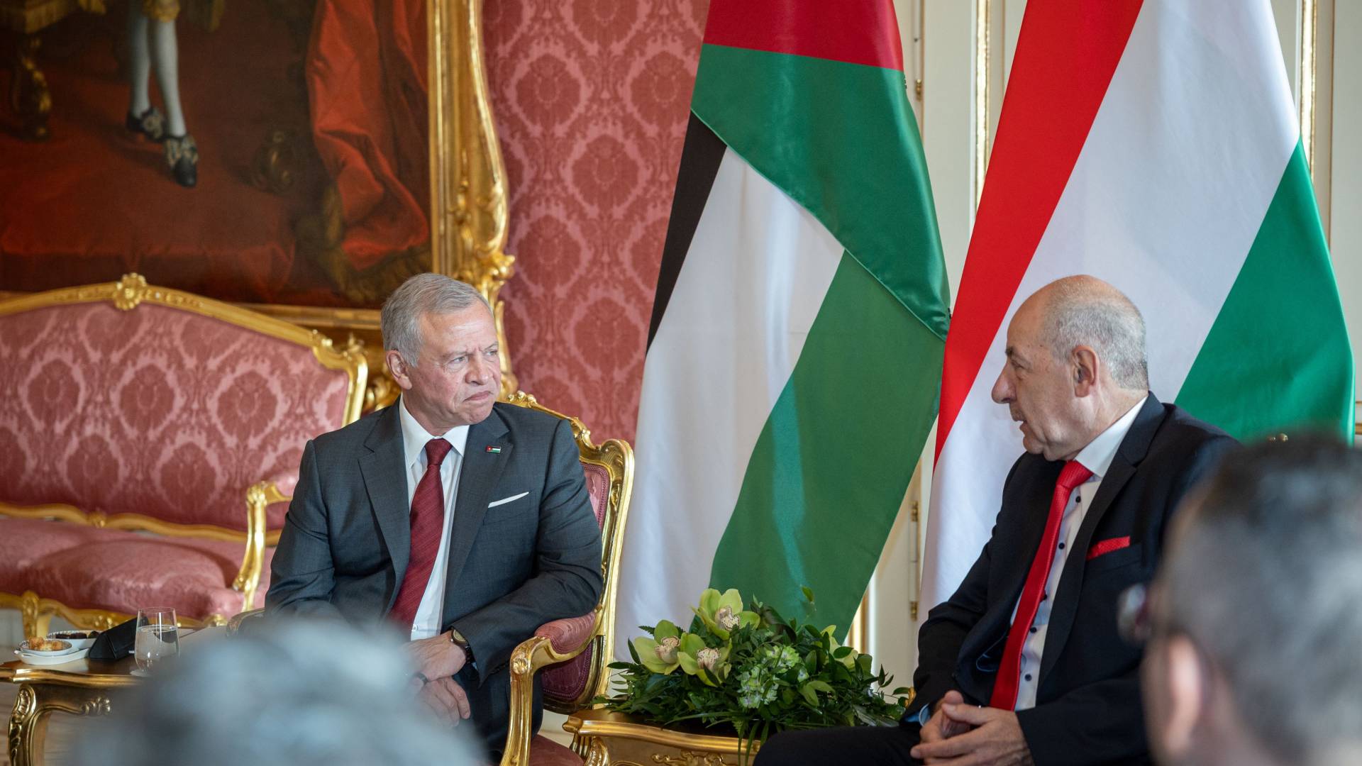 الملك ورئيس هنغاريا يؤكدان أهمية البناء على التعاون بين البلدين في مختلف المجالات - فيديو