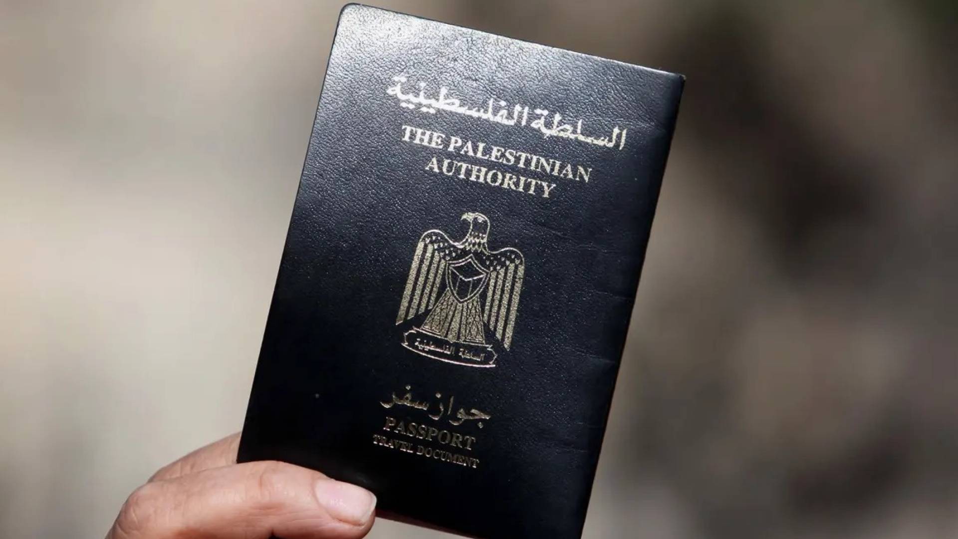 جواز السفر الفلسطيني