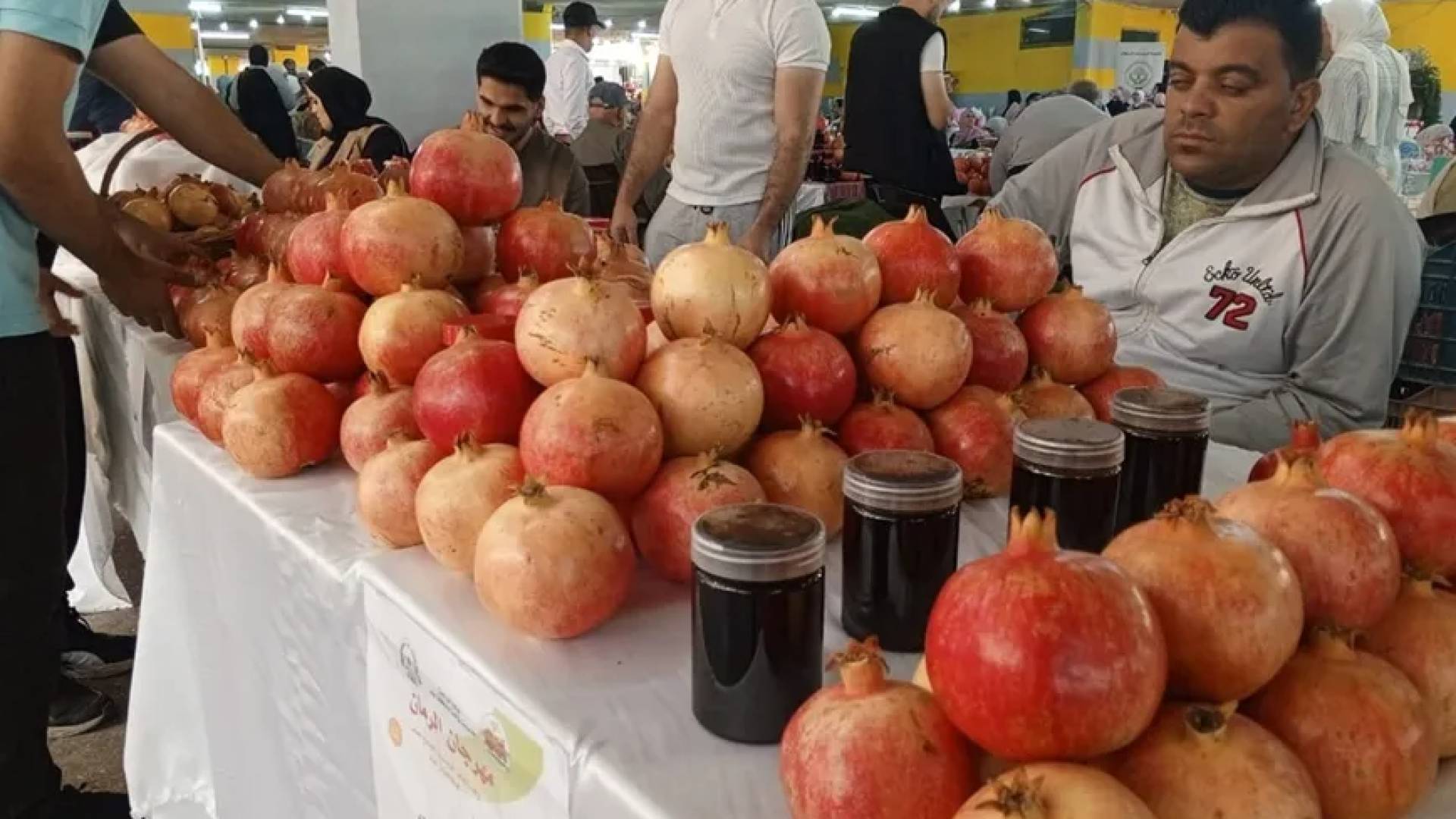 مهرجان الرمان في اربد