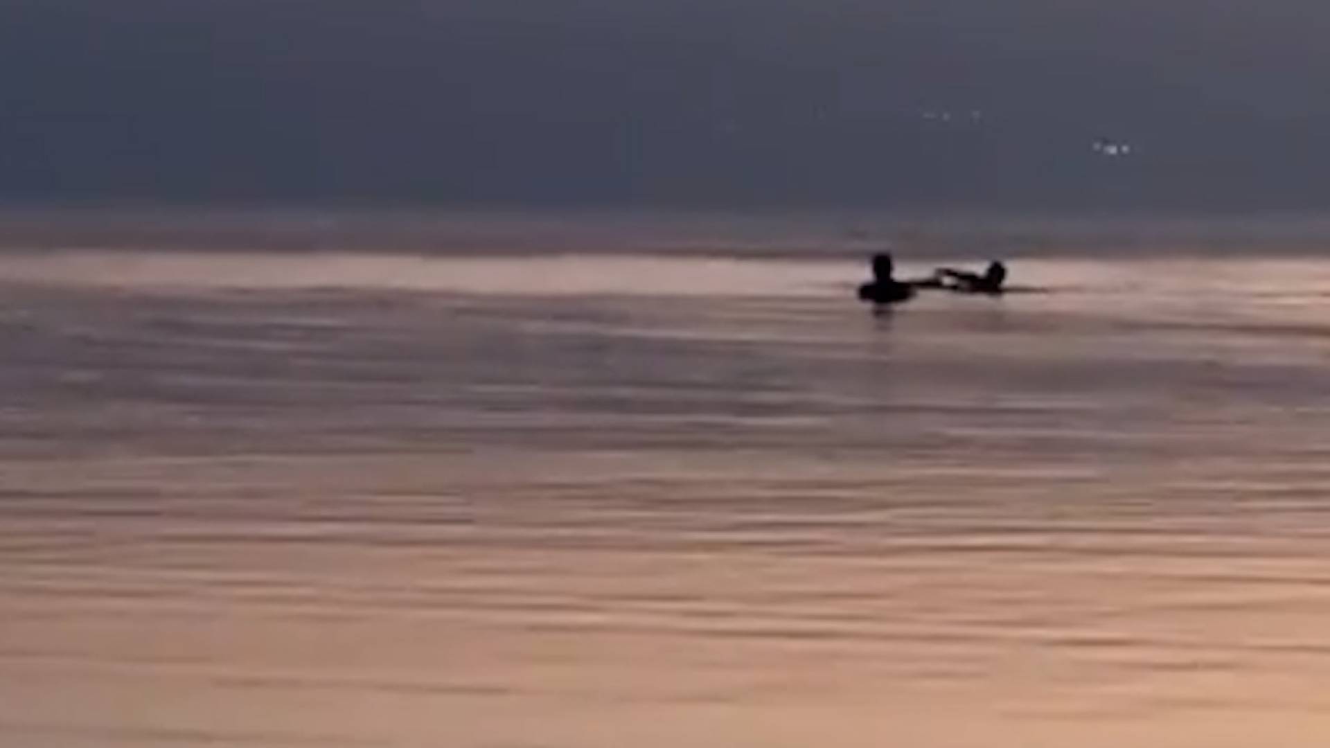 الدفاع المدني ينقذ 3 شبان من الغرق في البحر الميت.. فيديو