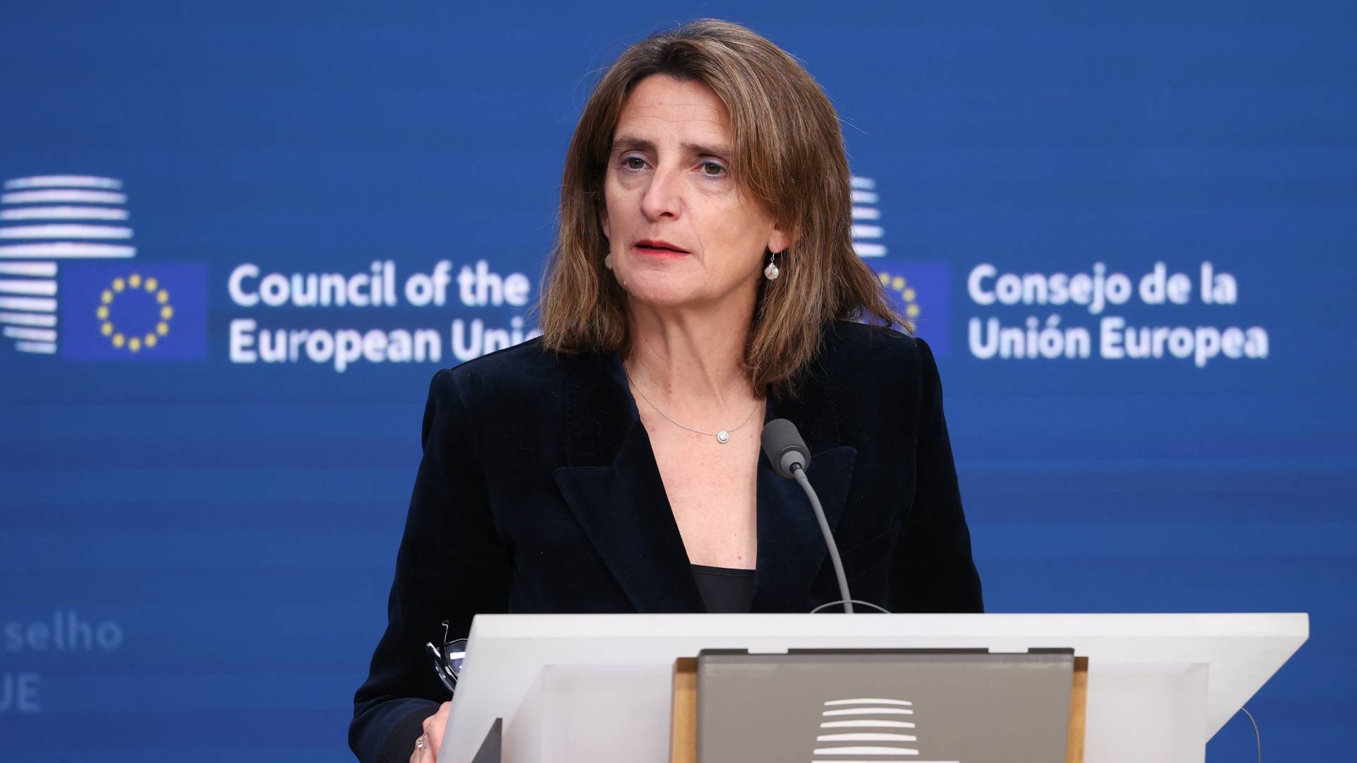 نائبة رئيس المفوضية الأوروبية، تيريزا ريبيرا