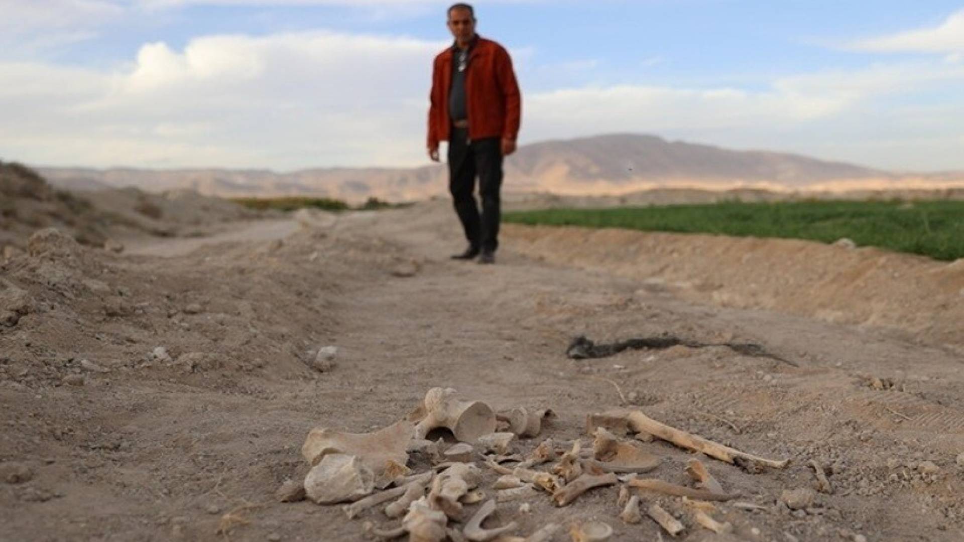 سوريا: العثور على مقبرة جماعية بحي السحاري في درعا