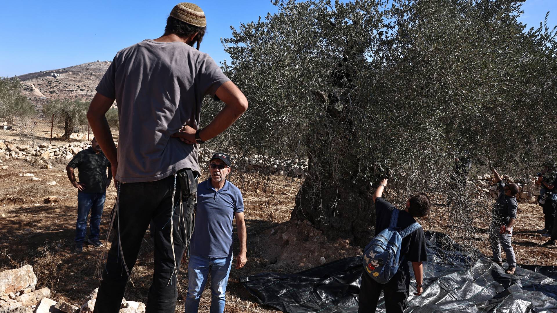 مستوطنون يهاجون فلسطينيين اثناء قطافهم الزيتون