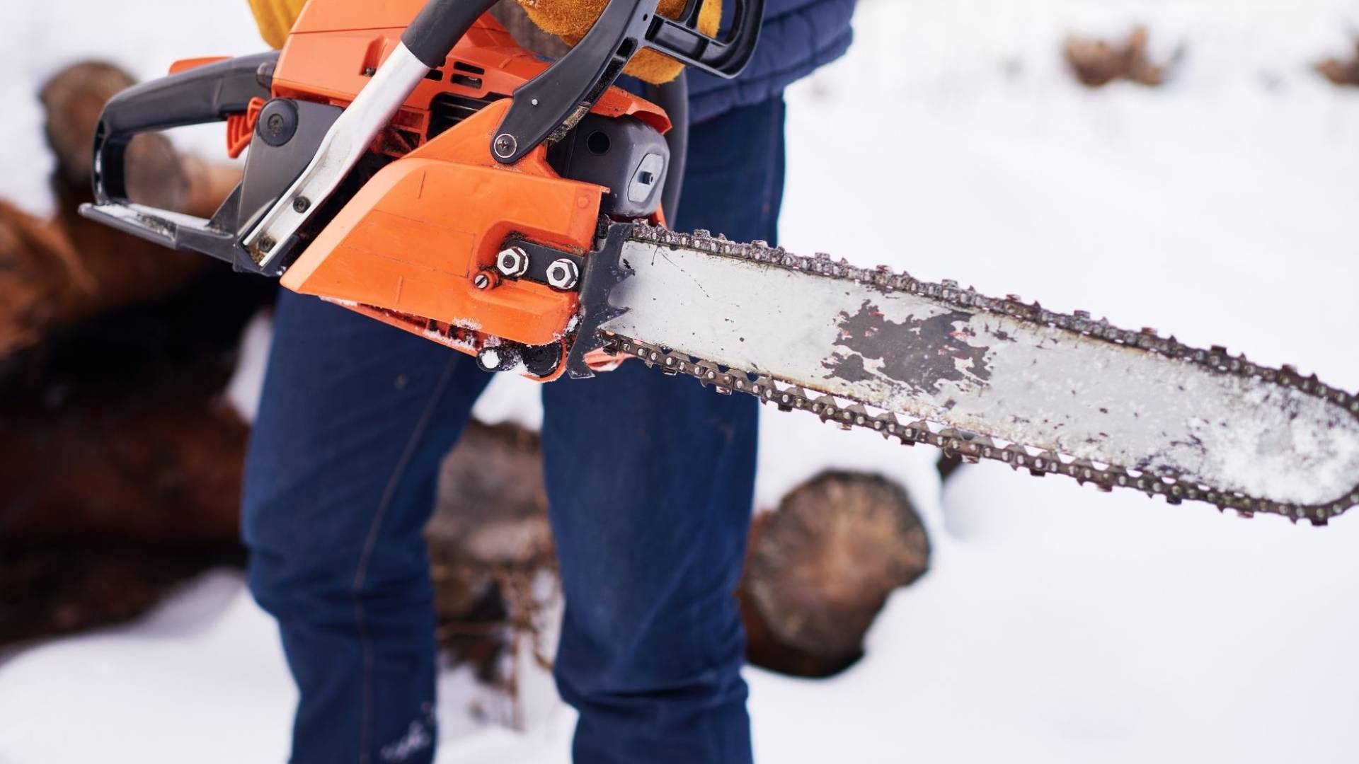 "جريمة الصاروخ" في مصر: تجديد حبس المتهم ووالده 15 يوما في الإسماعيلية