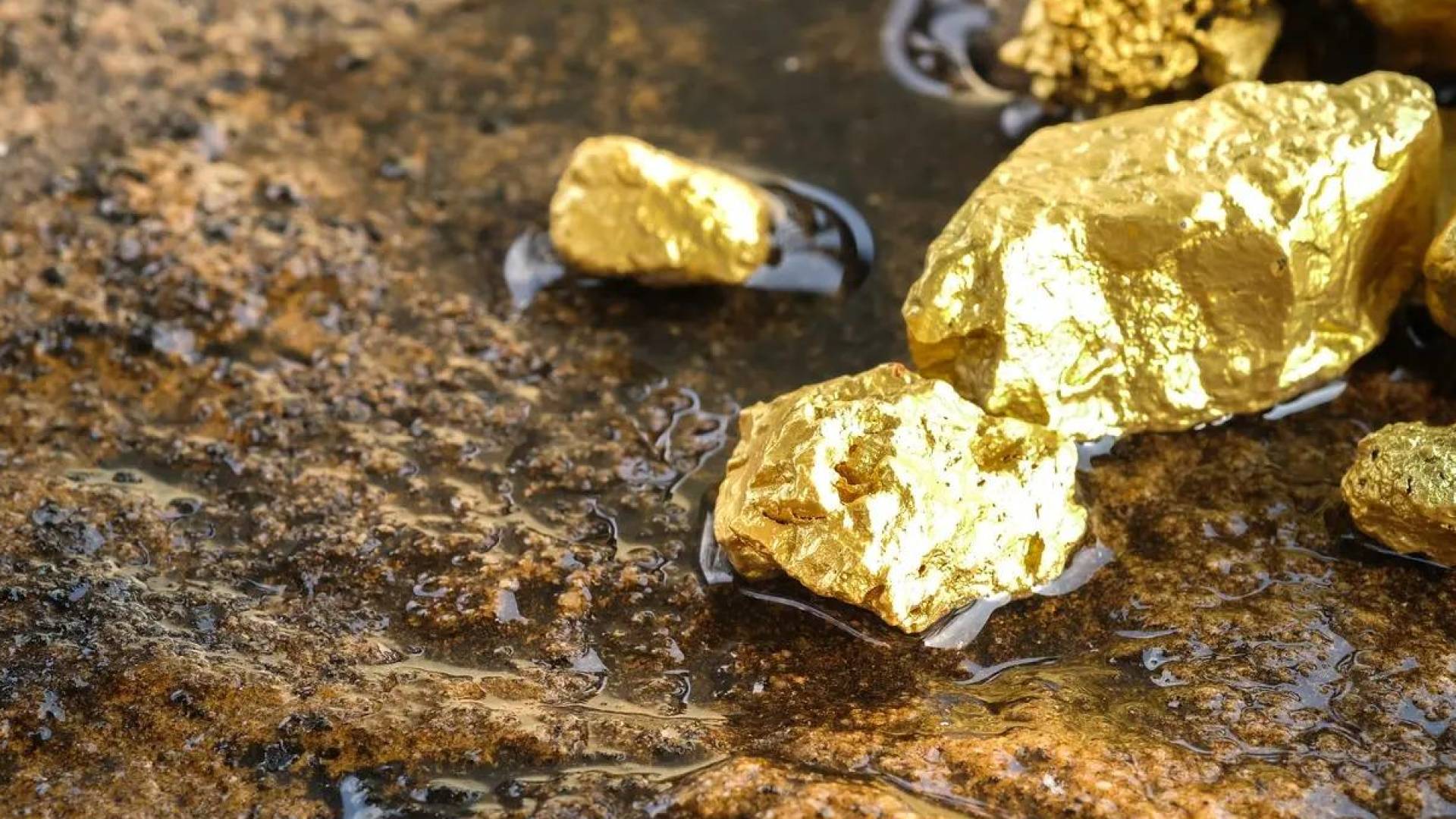 استخراج الذهب-أرشيفية