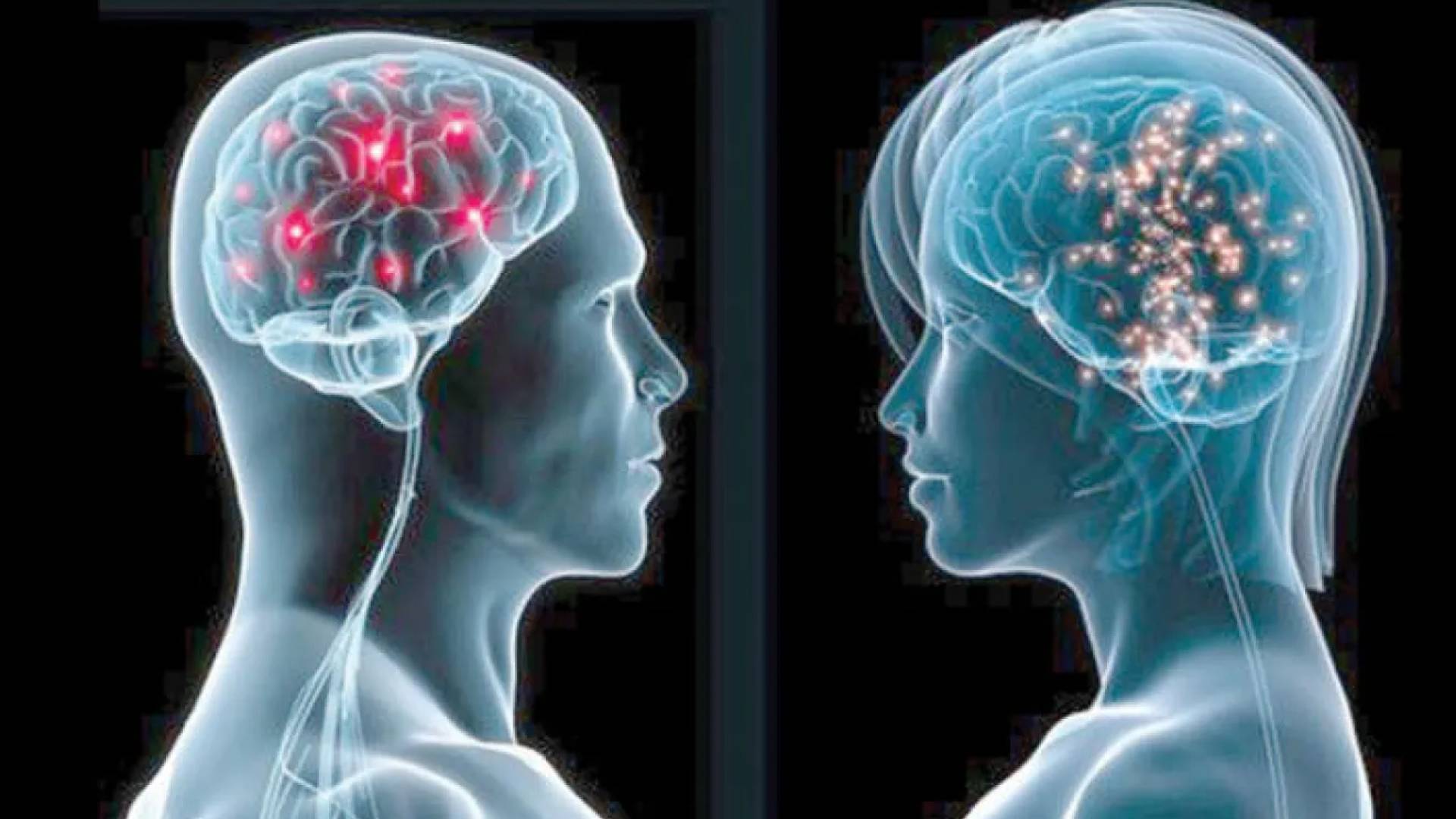 دراسة تكشف فوارق عميقة في كيفية عمل أدمغة الرجال والنساء