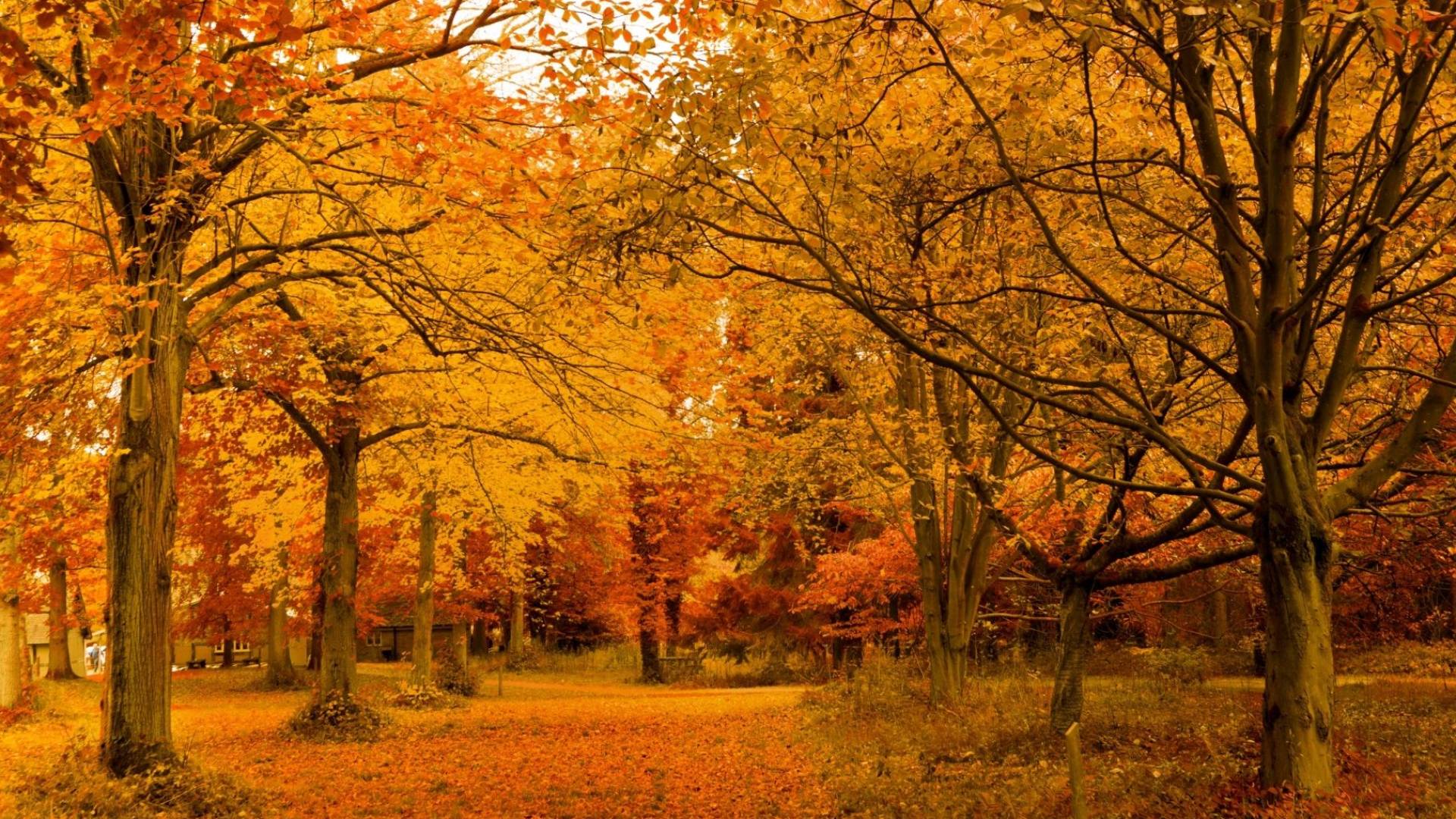 طقس العرب يرصد تغيرا جذريا في الأجواء يعيد الأردن إلى برودة الخريف