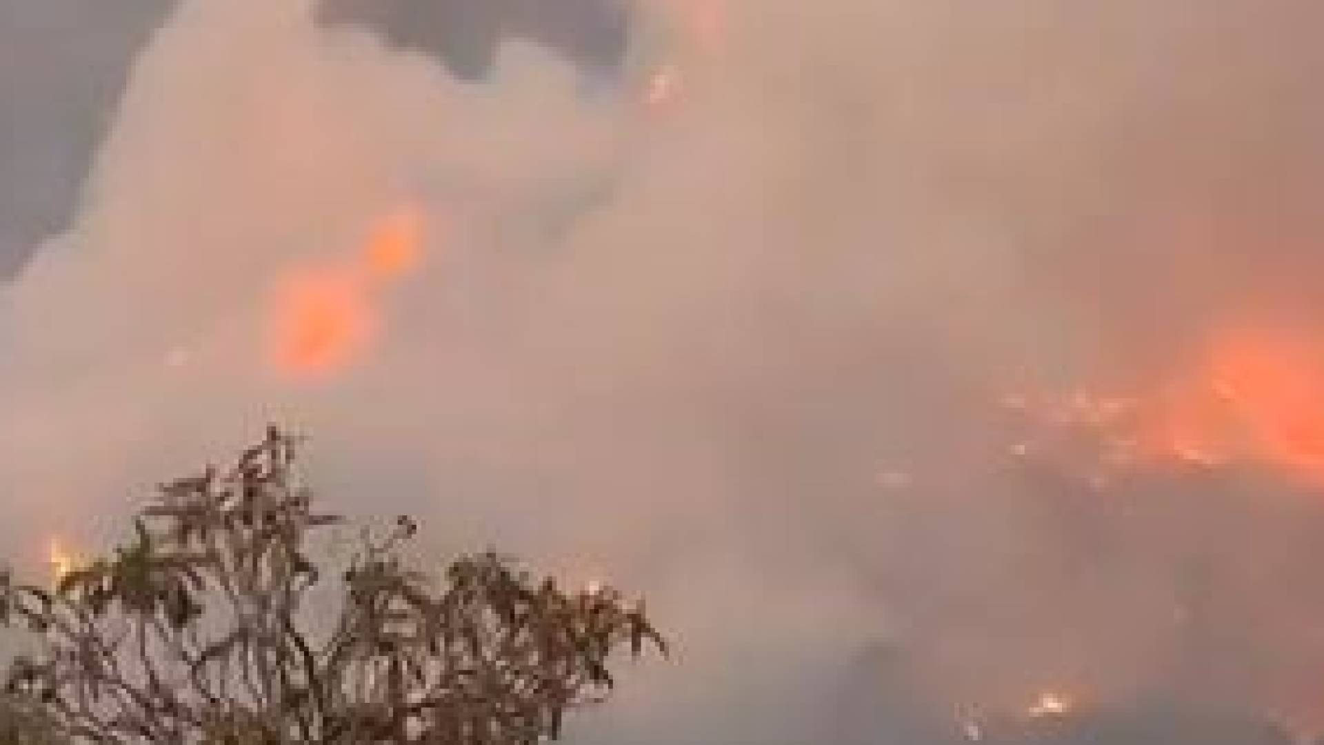 "ذهب لبنان الأخضر" في خطر.. النيران تزحف نحو كنز بكاسين والجيش يسابق الظلام