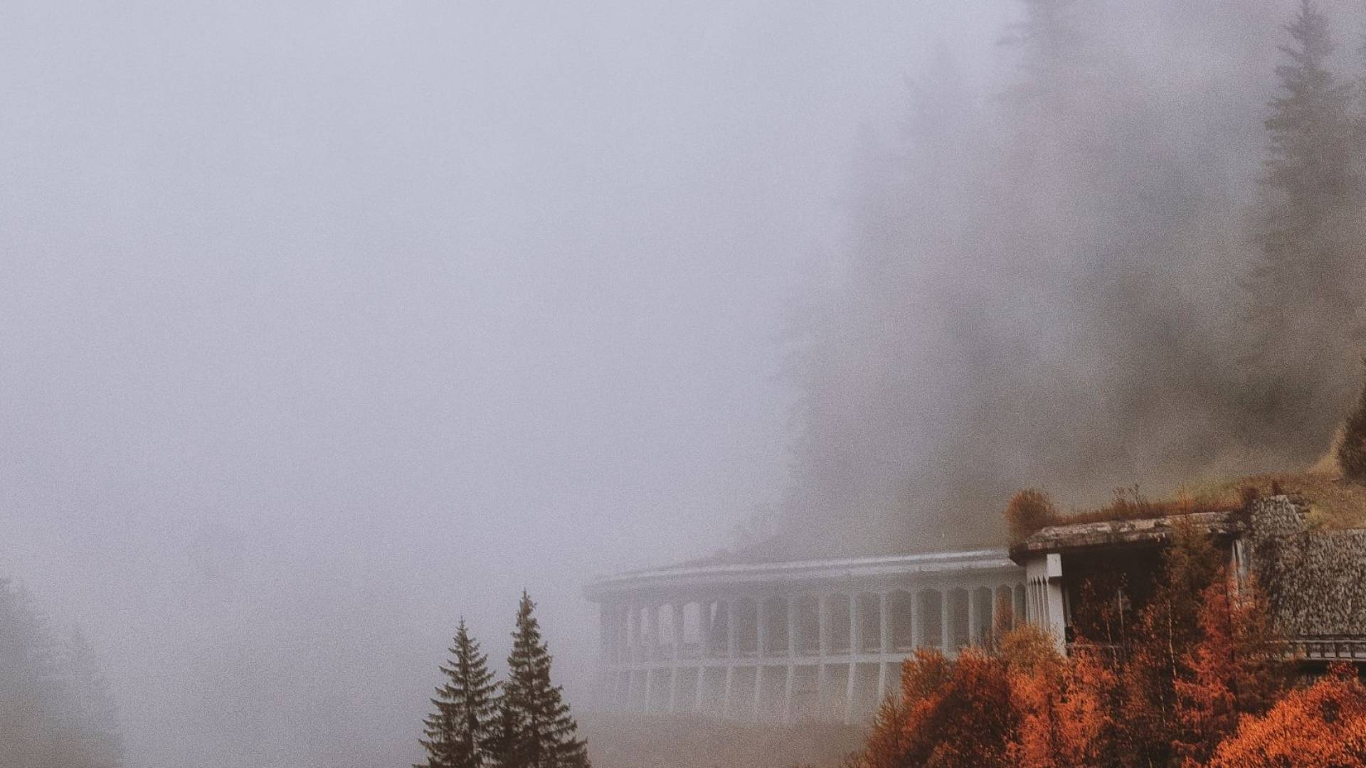 الأمن العام يحذر من تدني الرؤية الأفقية ويسجل حوادث في السواقة بسبب الضباب.. وتدهور في العدسية