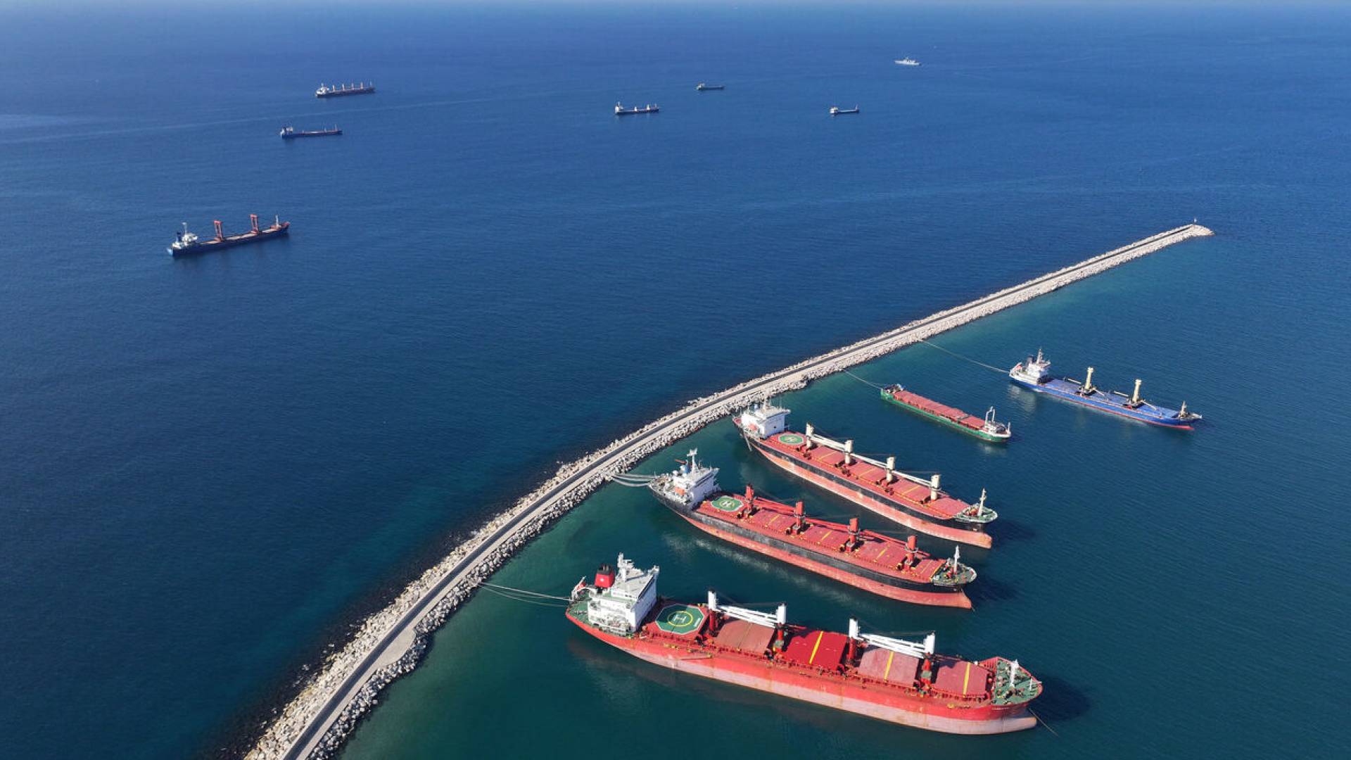 "موانئ دبي العالمية" تعلن بدء عملياتها رسميا في ميناء طرطوس