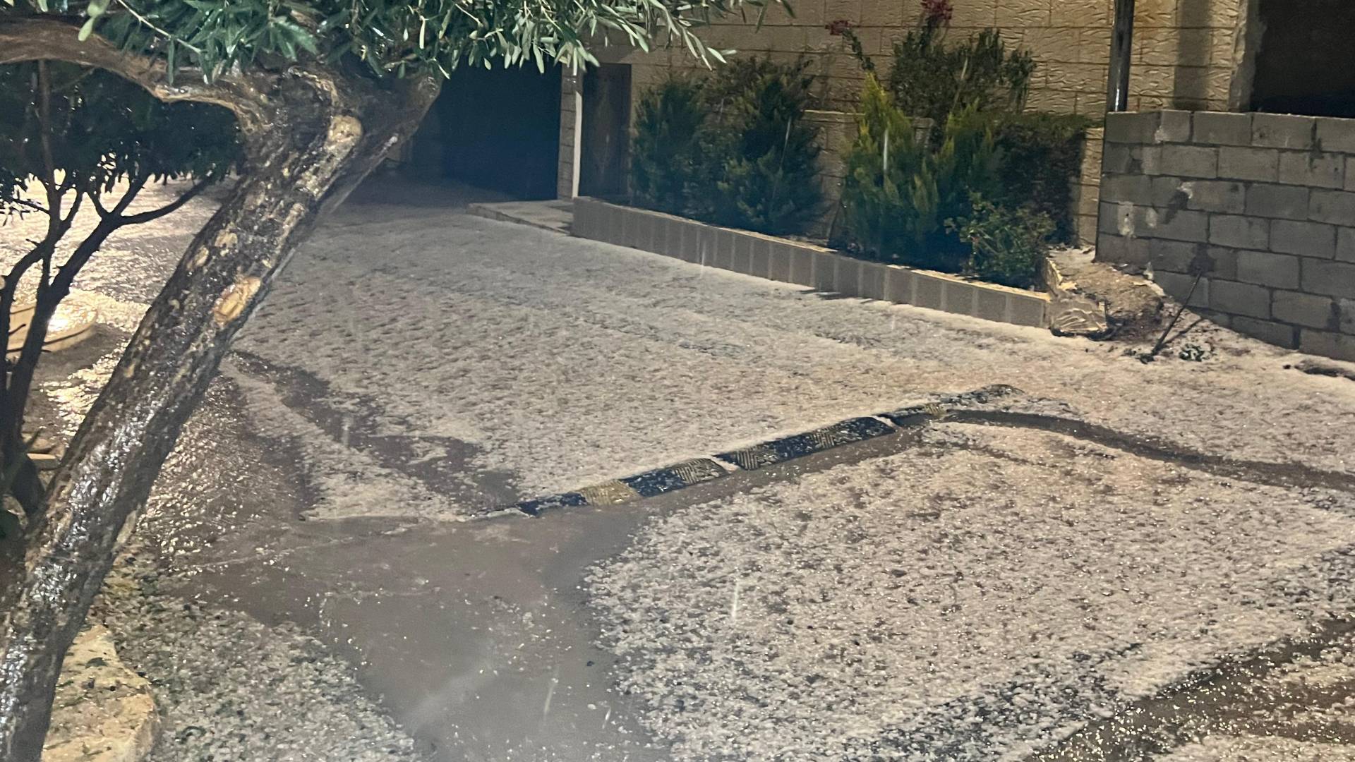 مراسل رؤيا: أمطار رعدية وتساقط كثيف للبرد في محافظة عجلون.. فيديو