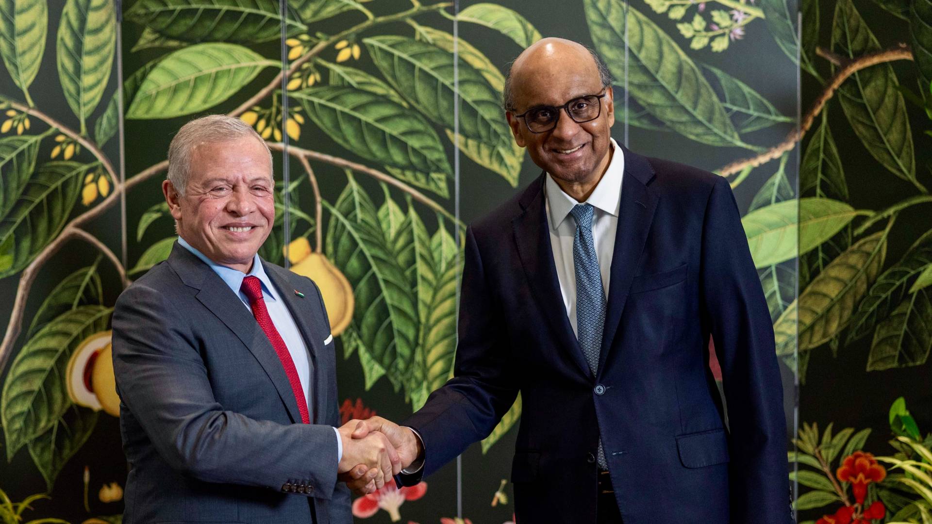 الملك والرئيس السنغافوري يبحثان آليات تعزيز التعاون وأبرز مستجدات الإقليم