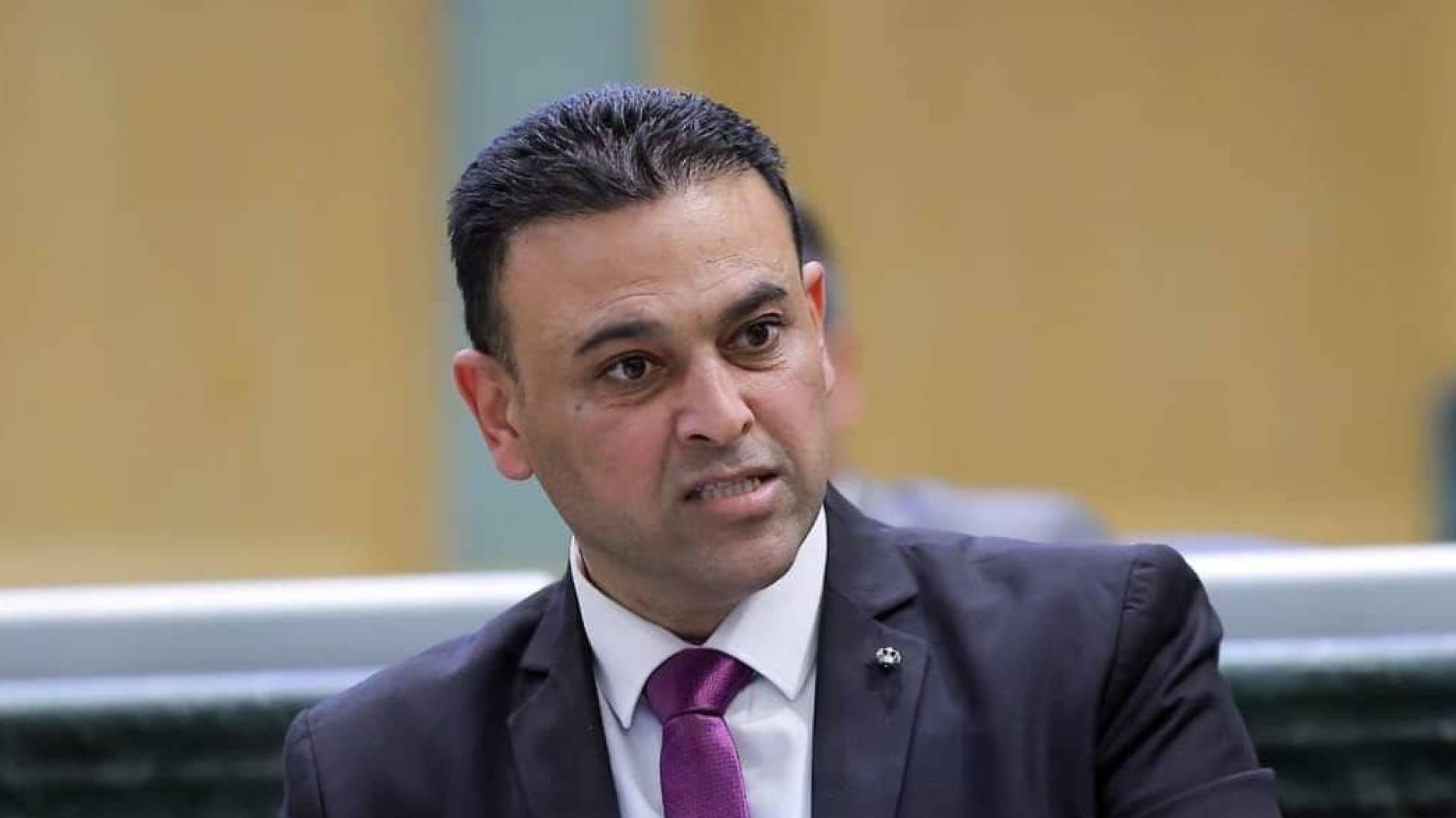 النائب وليد المصري