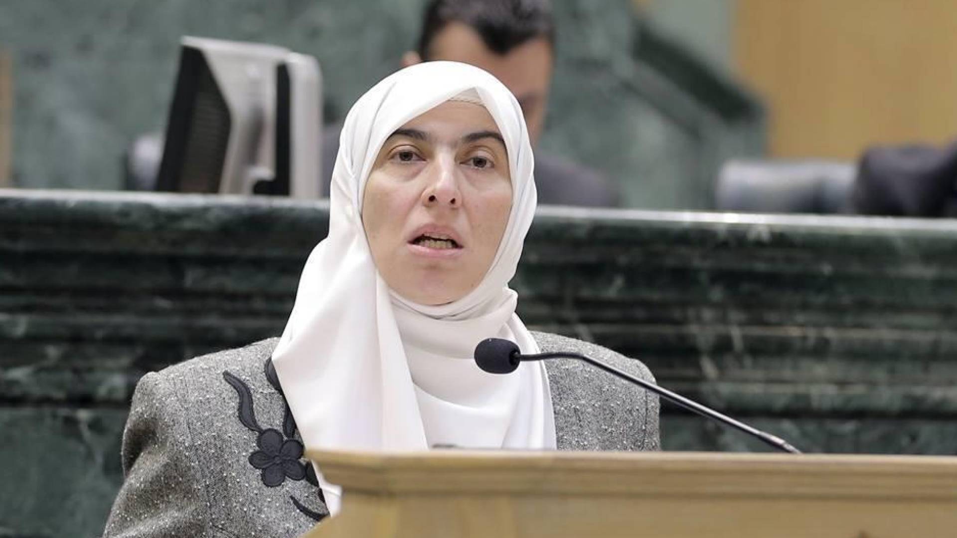 طهبوب: مشروع قانون خدمة العلم "نعمة البداية" لتعزيز قوة الأردن والحفاظ عليه