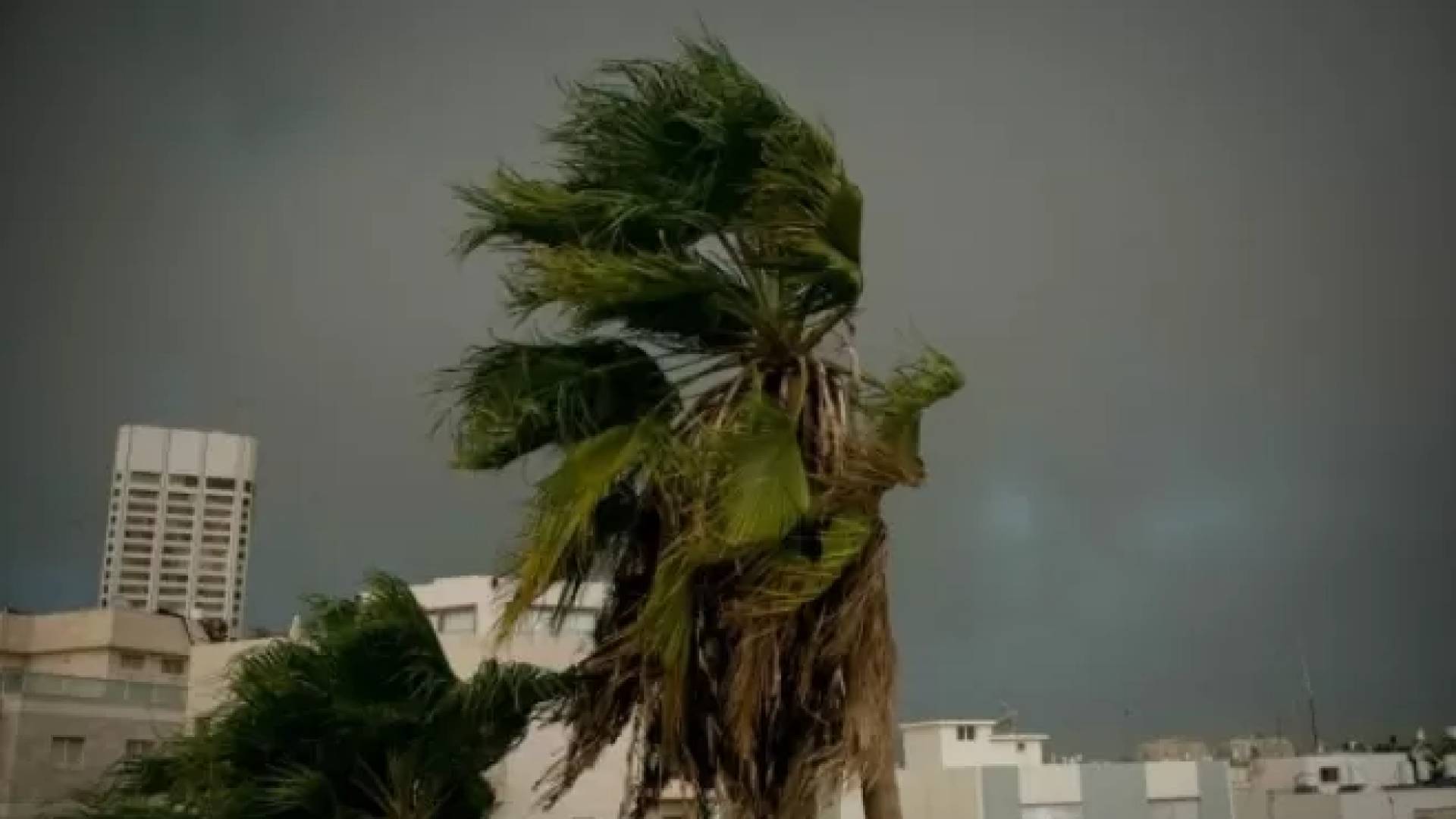 ارتفاع تدريجي على درجات الحرارة في الأردن وتحذير من رياح مثيرة للغبار في البادية