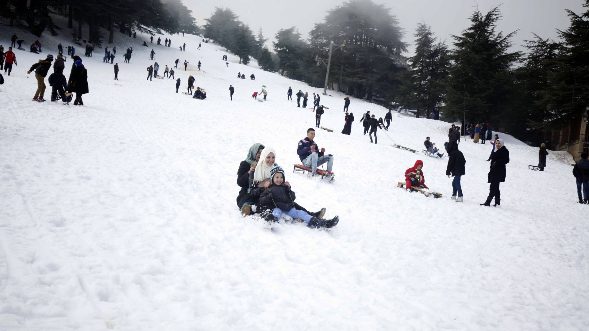 ثلوج في الجزائر - أرشيفية