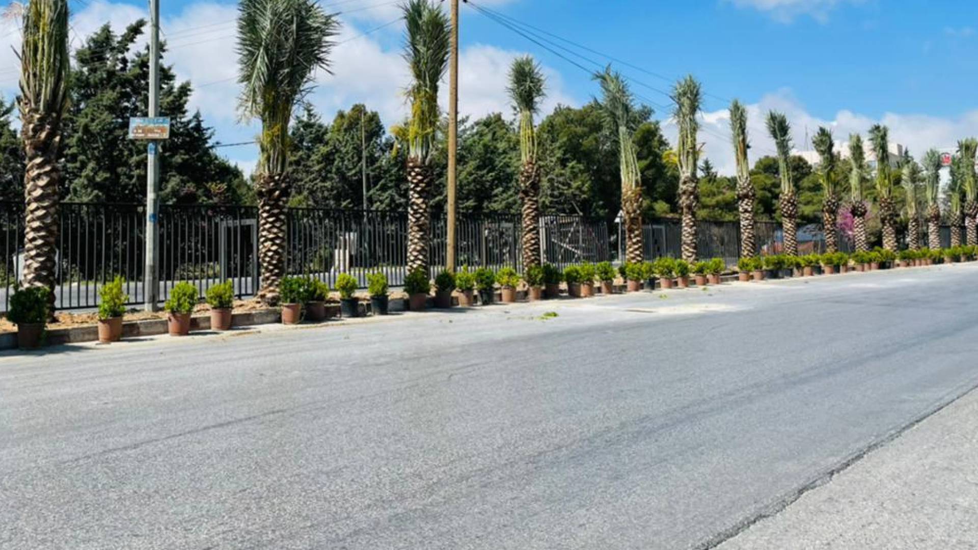 طريق السرو-أرشيفية