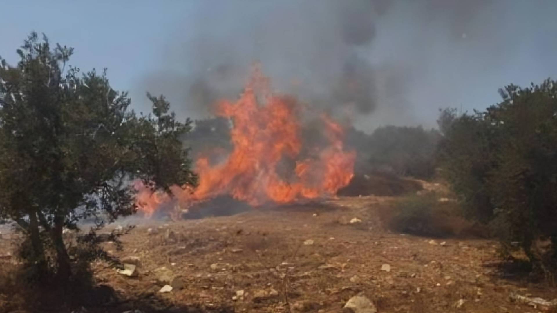 حرق أراضي زراعية  شمال مدينة رام الله من قبل المستوطنين